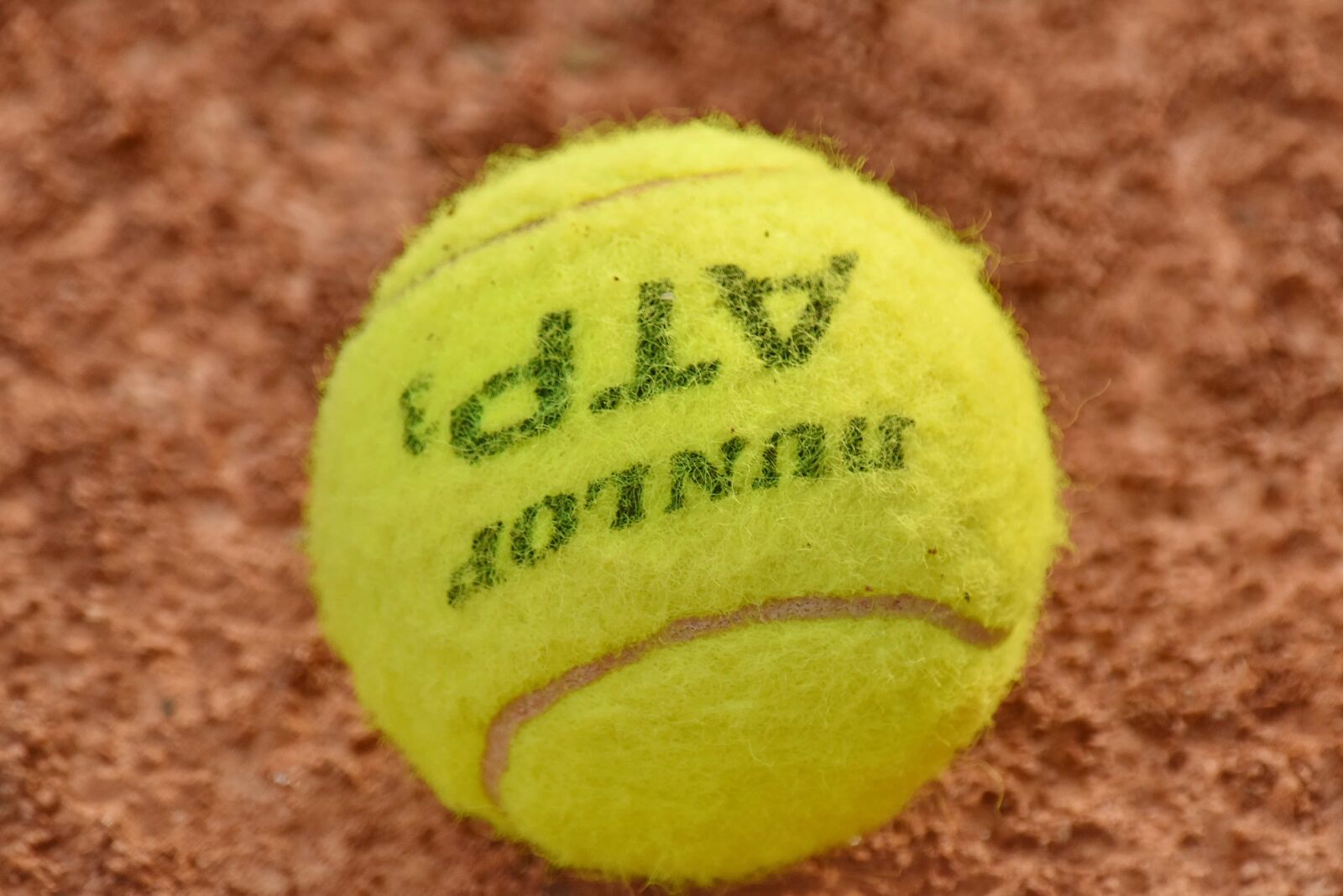 Nikon D5500 sample photo. Alphabet, ball, sign, tennis photography