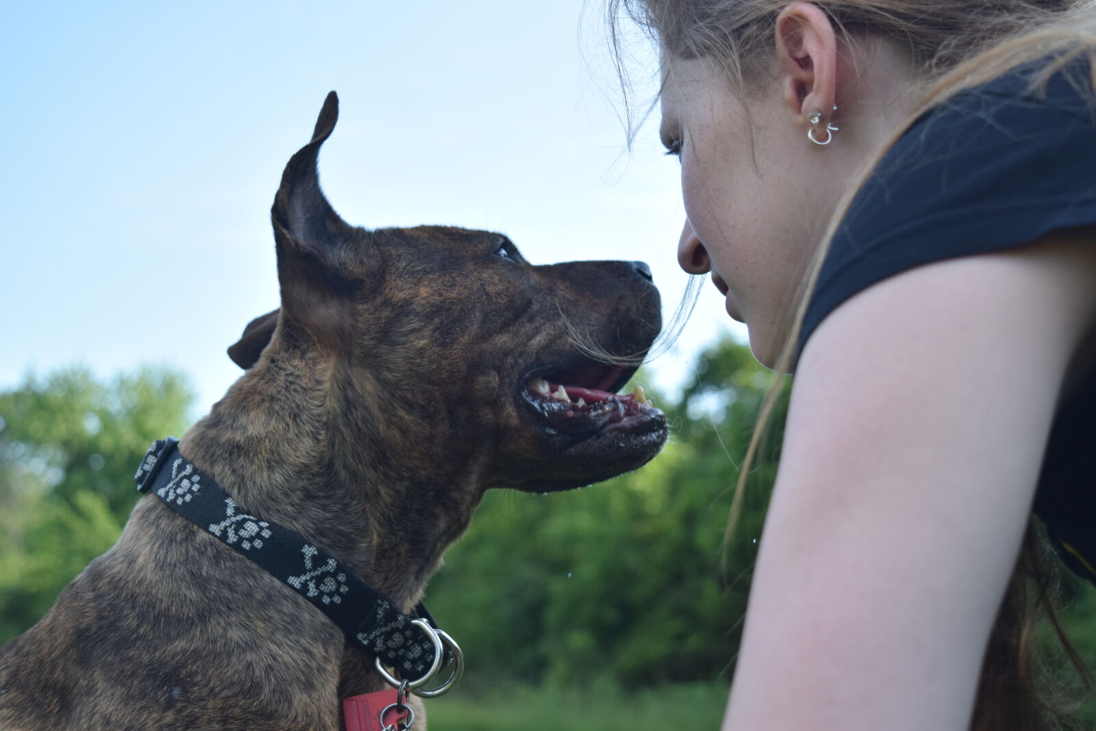 Nikon D3300 sample photo