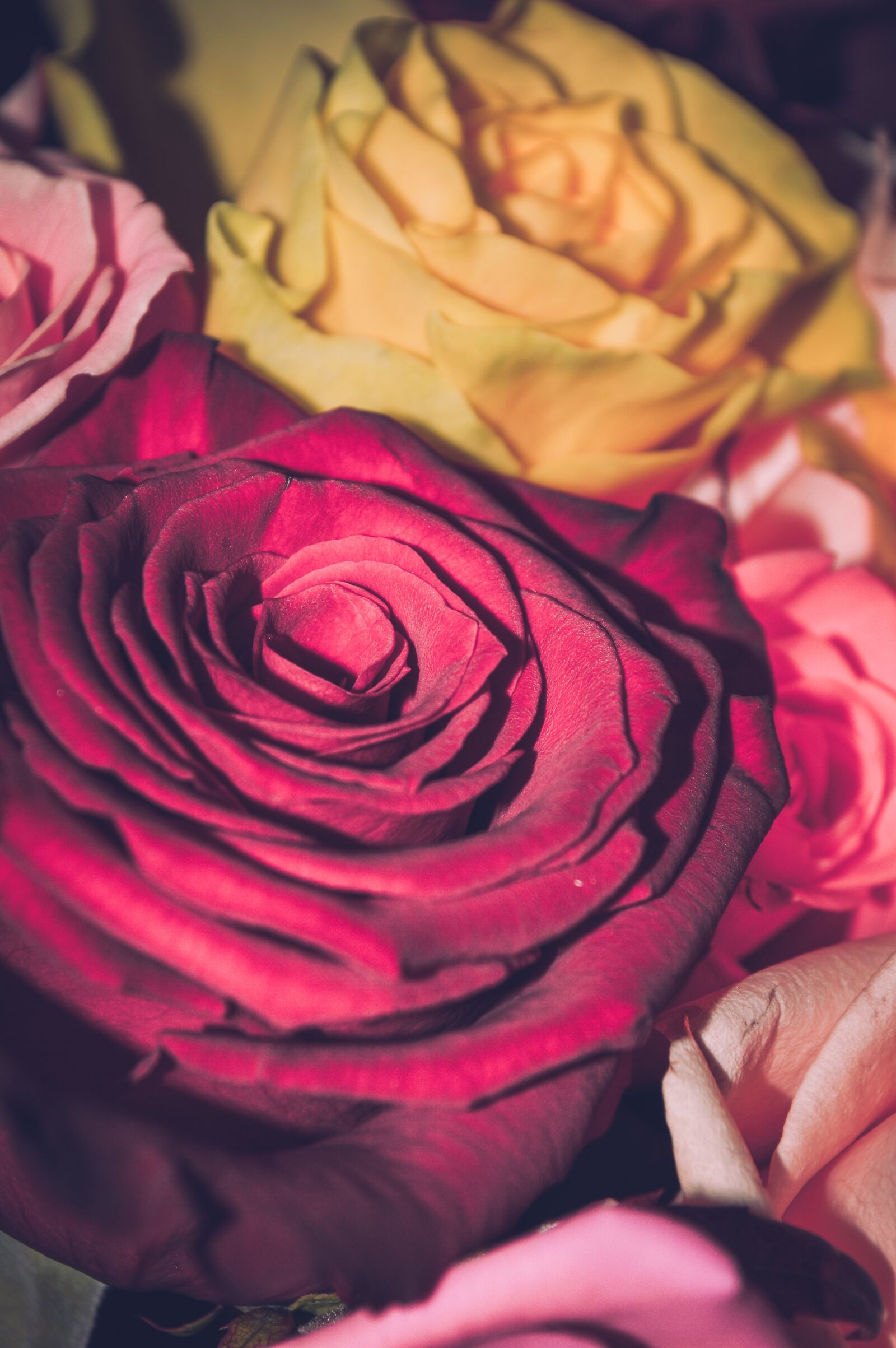 Nikon D3200 sample photo. International women's day, march photography