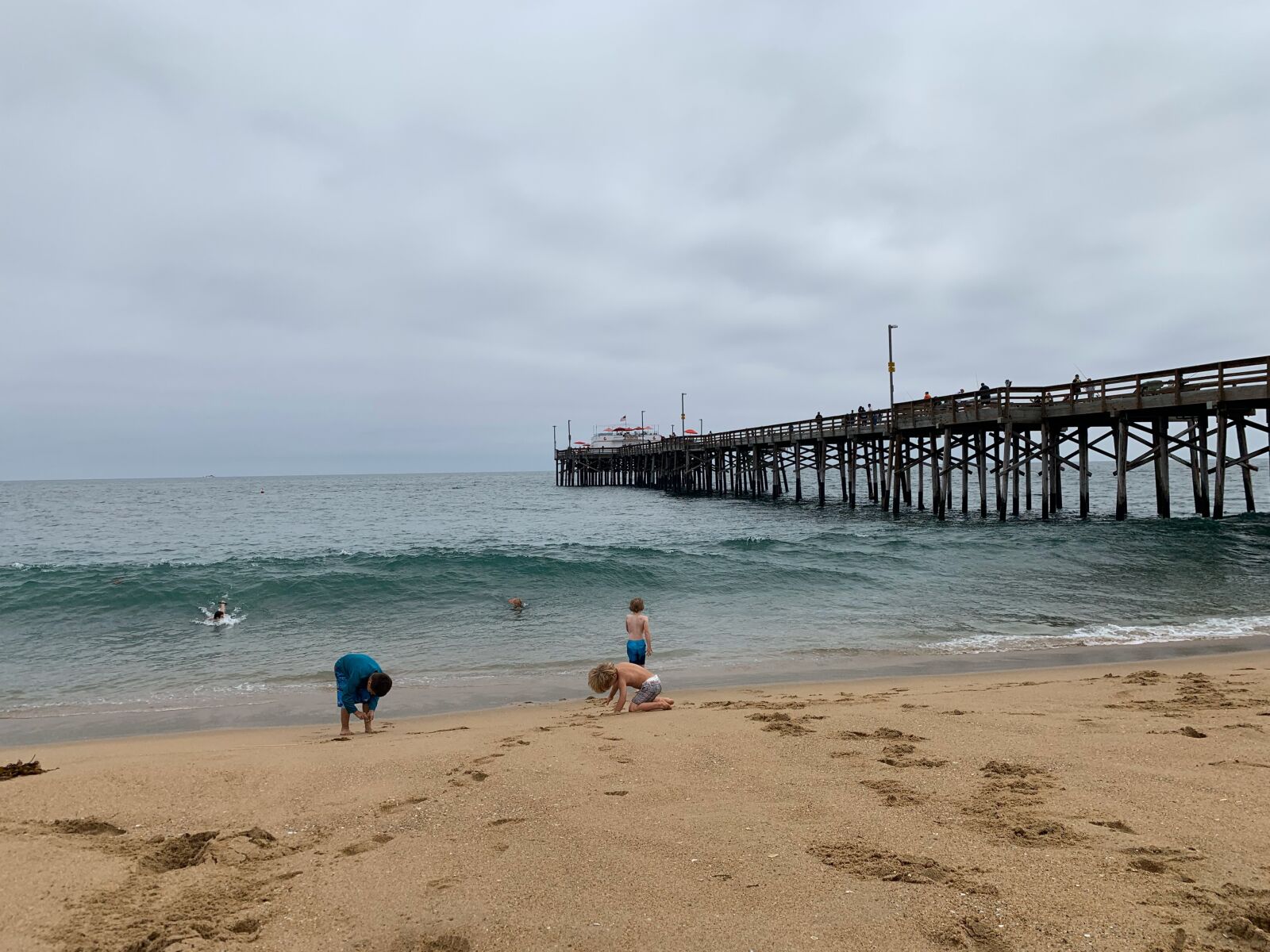 iPhone XS back dual camera 4.25mm f/1.8 sample photo. Hermosa beach, california, pelican photography