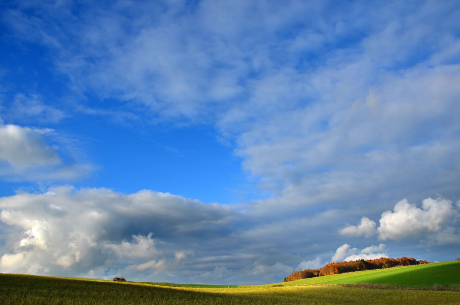 Nikon D5100 sample photo. Field, landscape, nature photography
