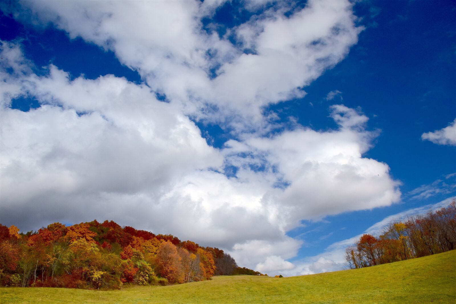 Nikon D3300 sample photo. Autumn, foliage, sky photography