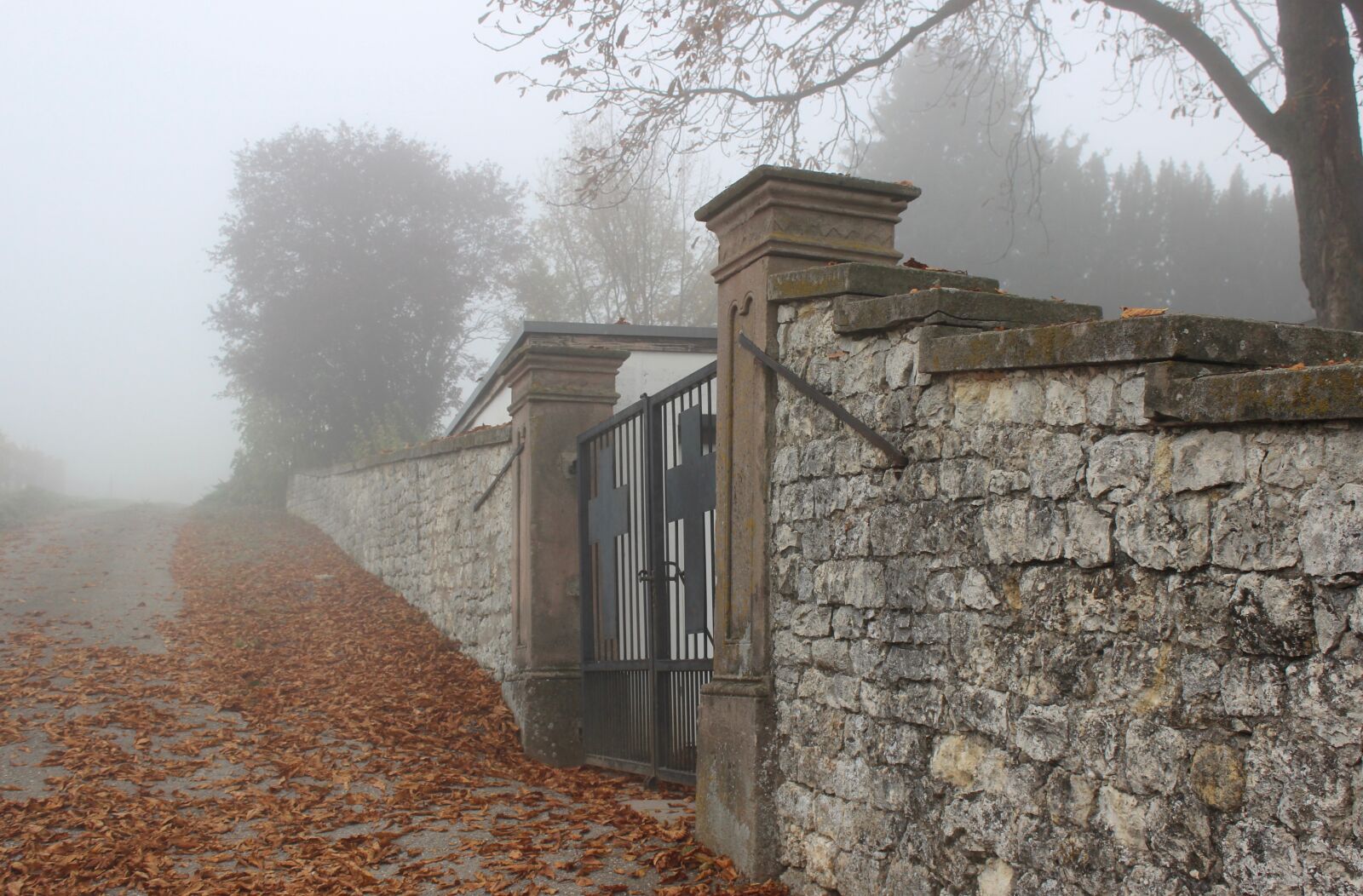 Canon EOS 600D (Rebel EOS T3i / EOS Kiss X5) sample photo. Fall foliage, cemetery, fog photography