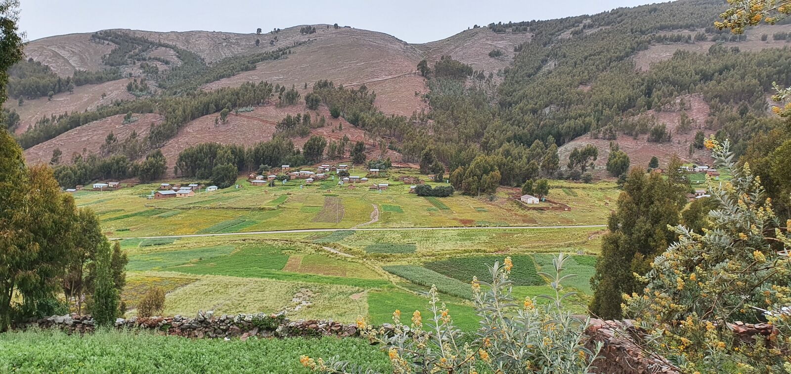 Samsung Galaxy S10+ sample photo. Puno, estate, totorcuyo photography