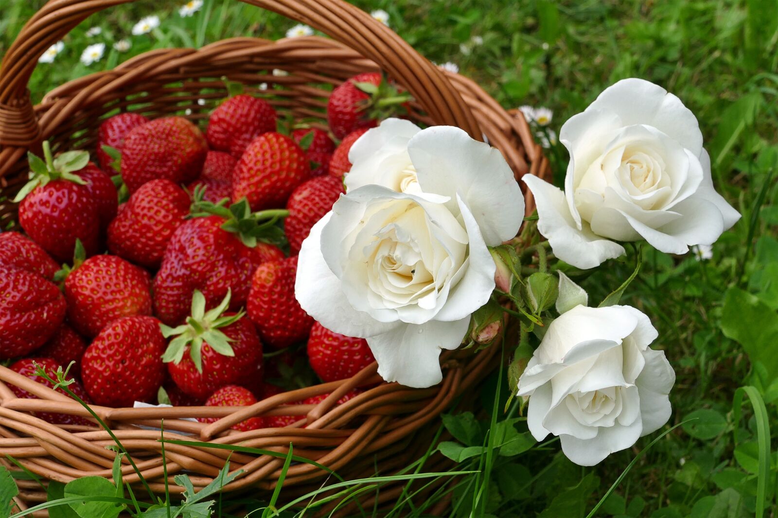 Panasonic Lumix DMC-FZ1000 sample photo. Strawberries, white roses, willow photography