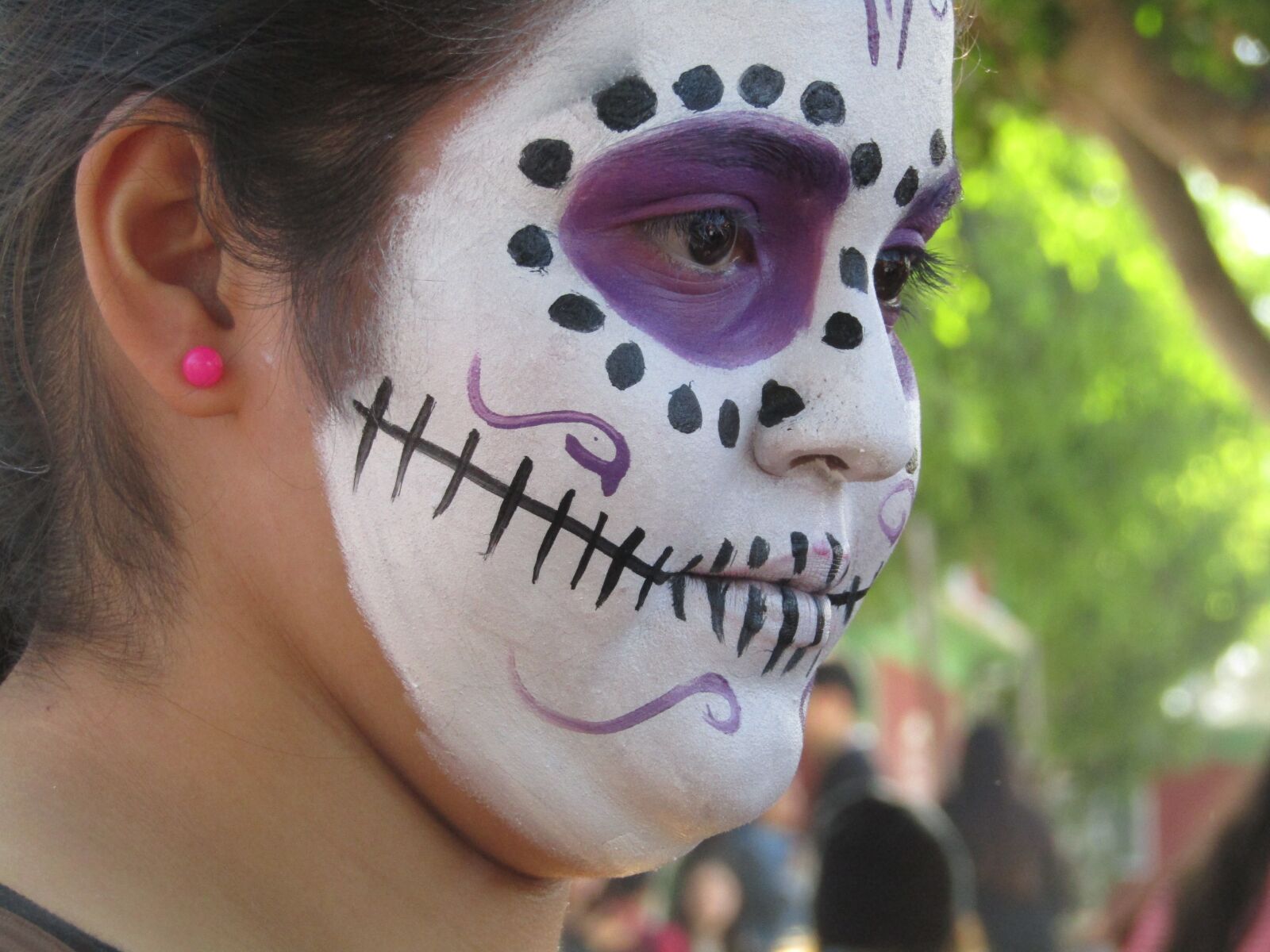 Canon PowerShot SX410 IS sample photo. Mexico, diademuertos, party photography
