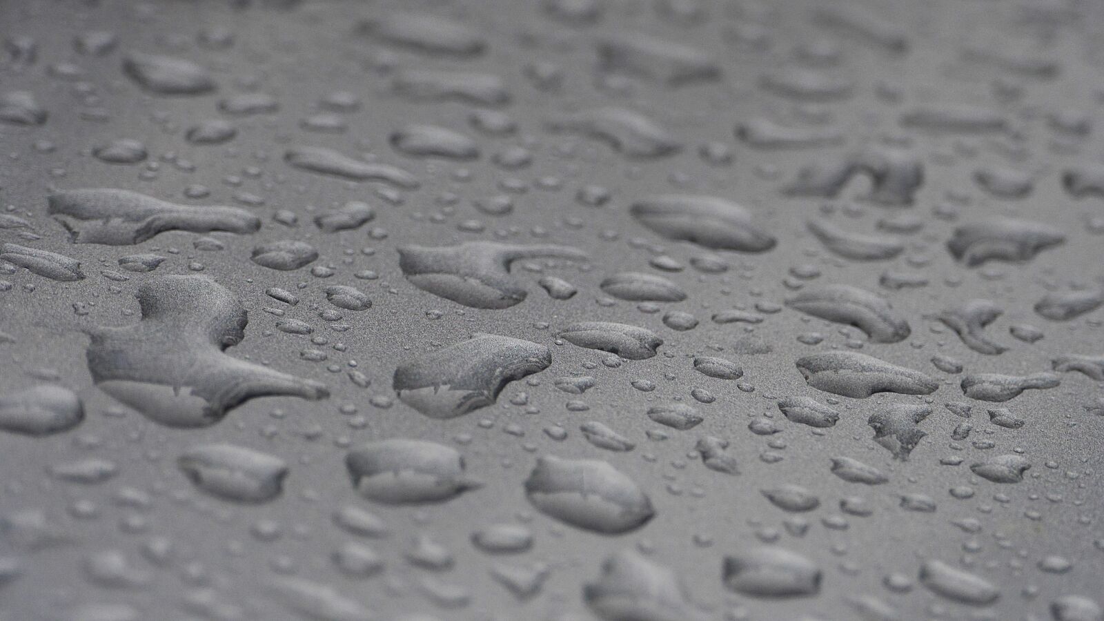 Panasonic Lumix DMC-GH3 sample photo. Non, raindrops, water photography