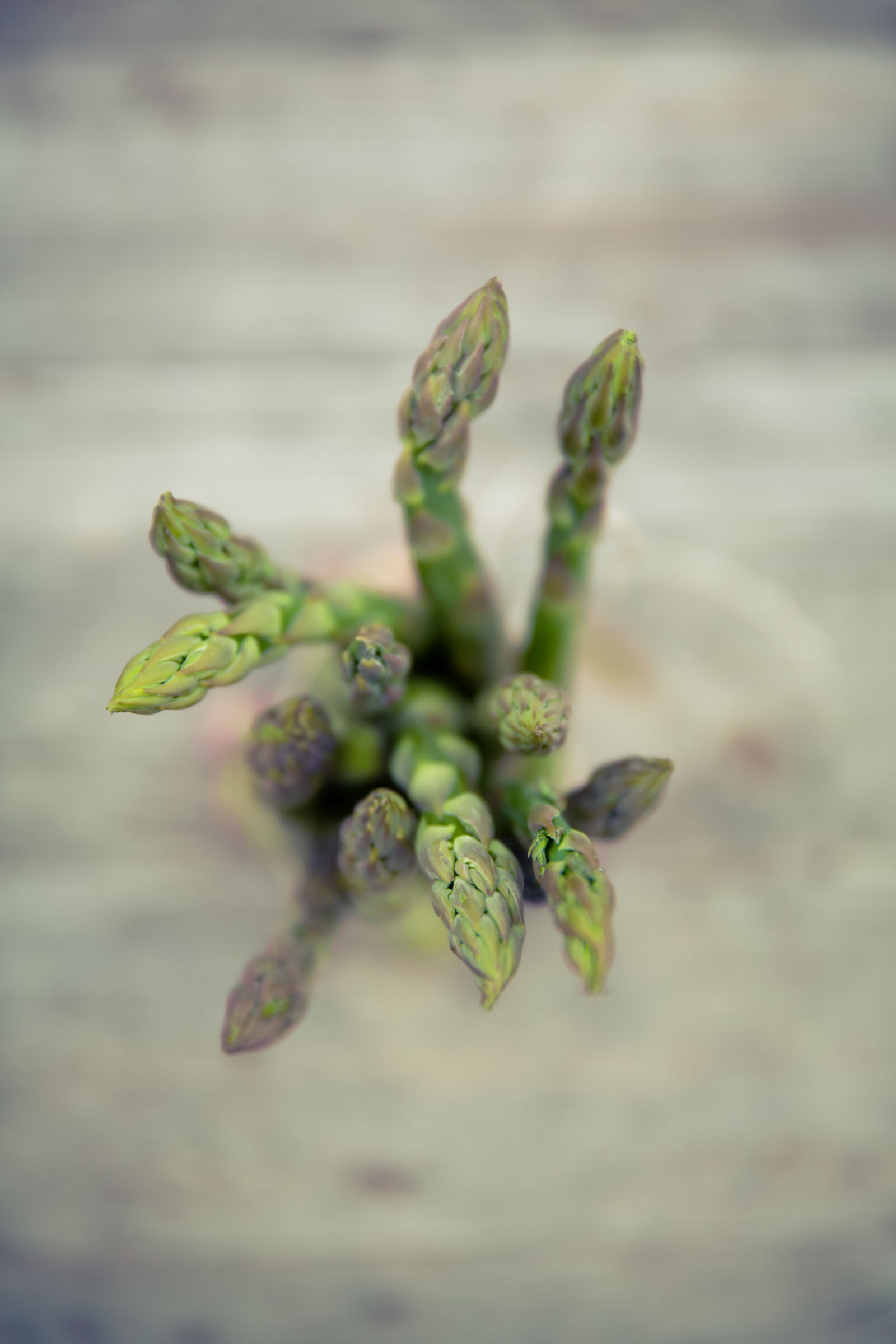 Canon EF 24-70mm F2.8L II USM sample photo. Food, plant, vegetable, asparagus photography