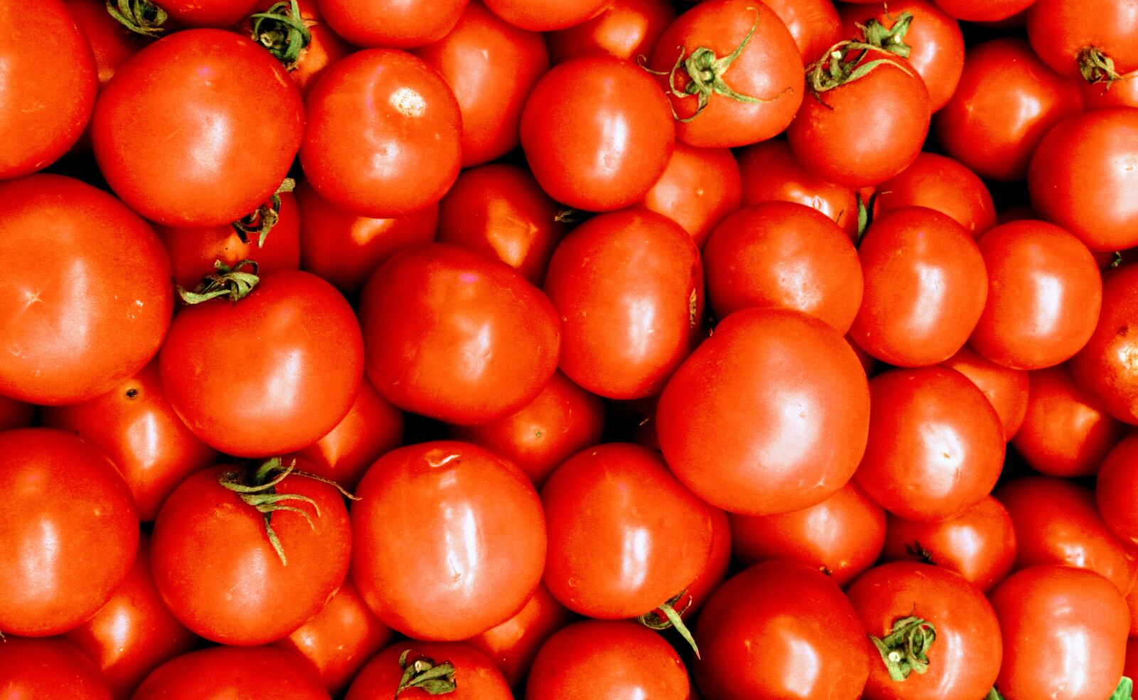 Canon PowerShot SX620 HS sample photo. Tomatoes, vegetables, fresh photography