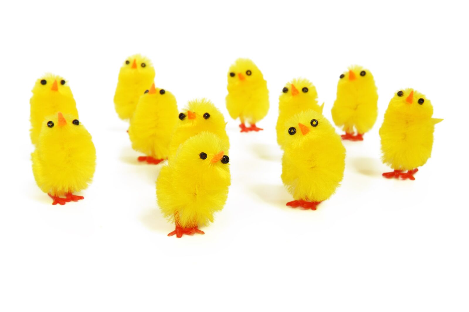 Canon EOS 50D sample photo. Adorable, animal, baby, bird photography