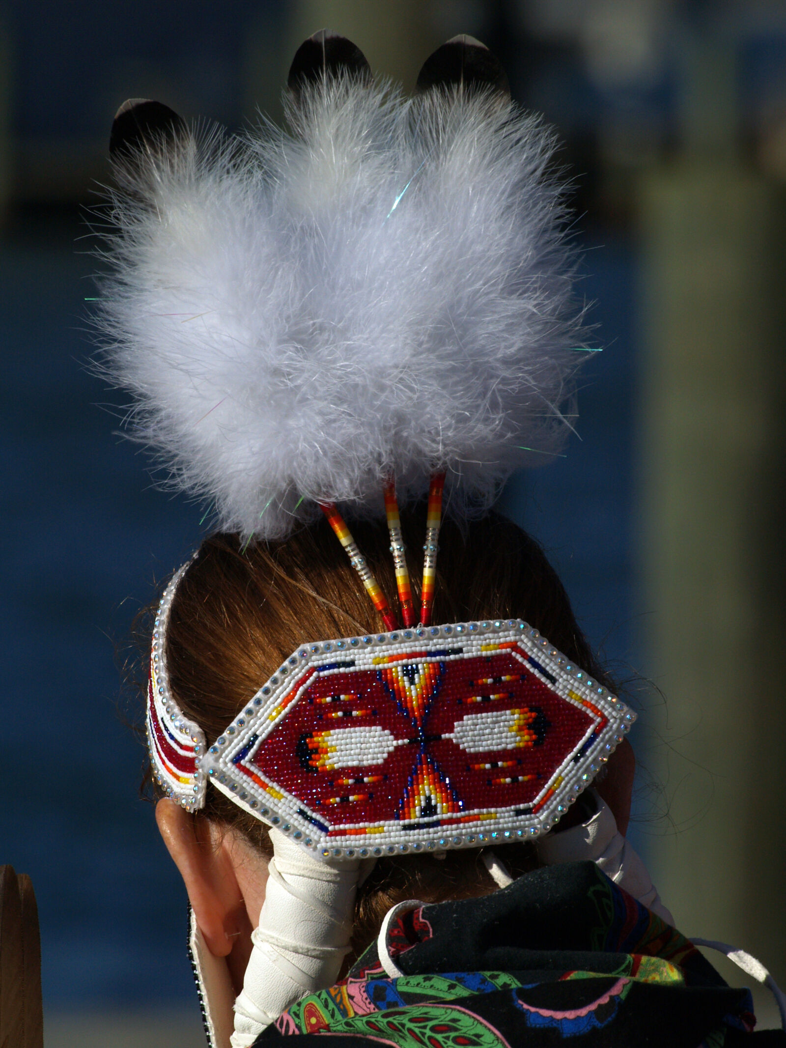 Olympus E-500 (EVOLT E-500) sample photo. Feathers, native, american, headress photography