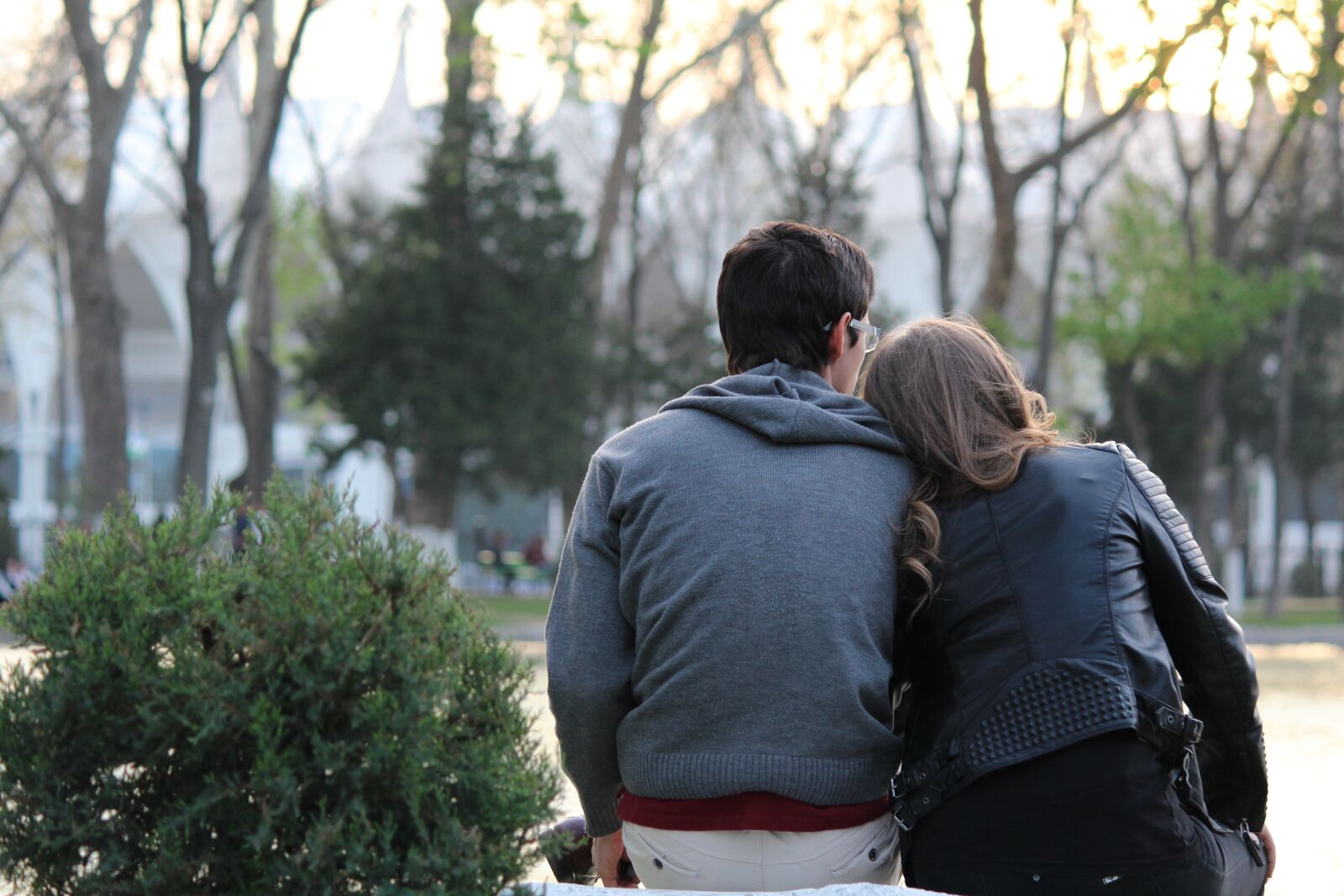 Canon EOS 600D (Rebel EOS T3i / EOS Kiss X5) sample photo. Outdoors, nature, tree photography