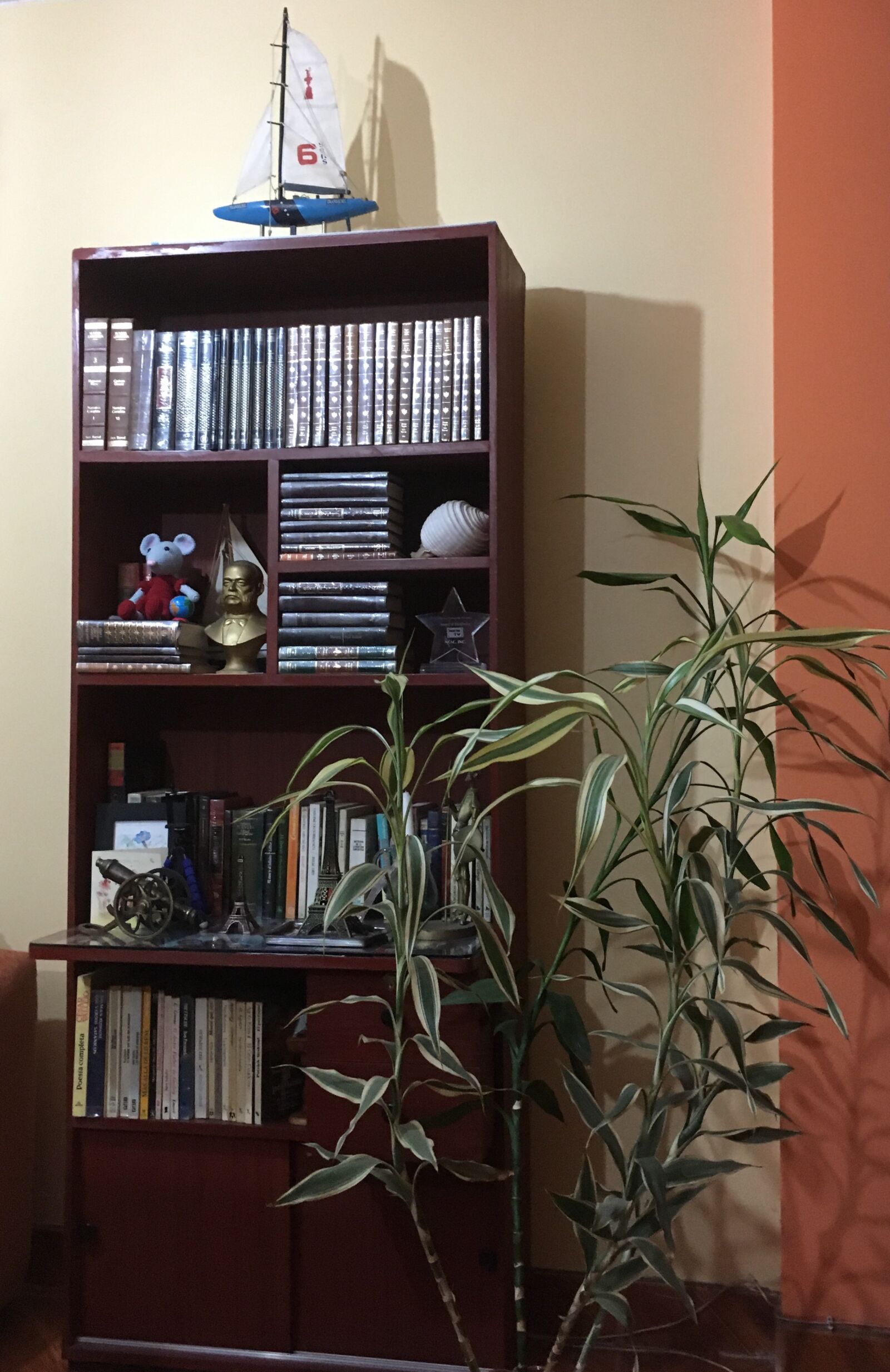 iPhone SE back camera 4.15mm f/2.2 sample photo. Shelf, books, library photography