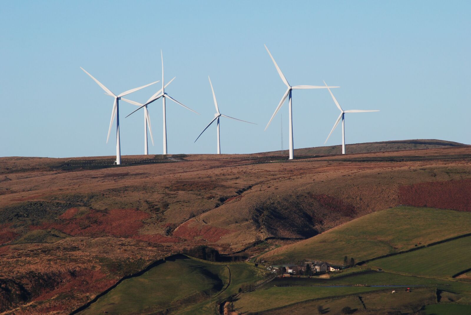 Nikon D3000 sample photo. Landscape, fields, wind photography