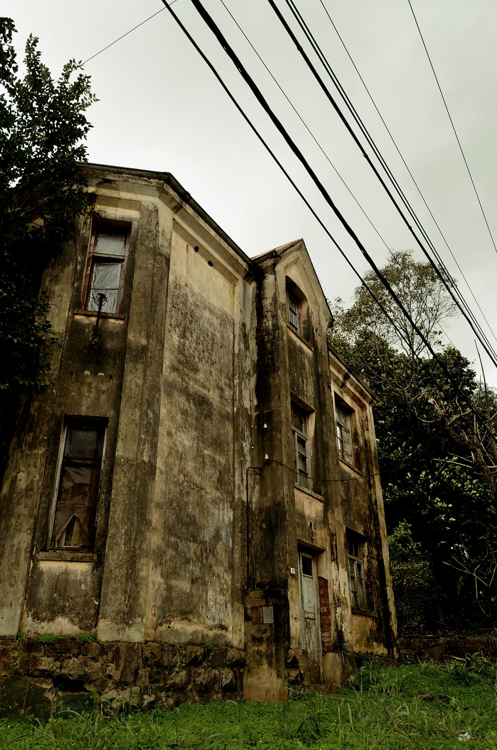 Nikon D5100 sample photo