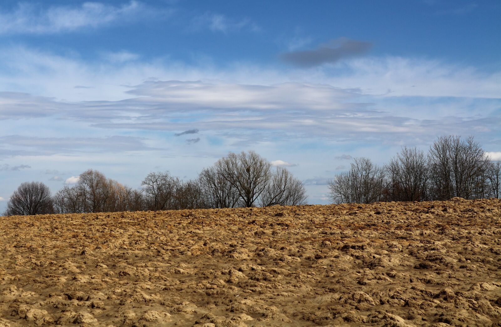 Canon EOS M10 sample photo. Early spring, agriculture, nature photography