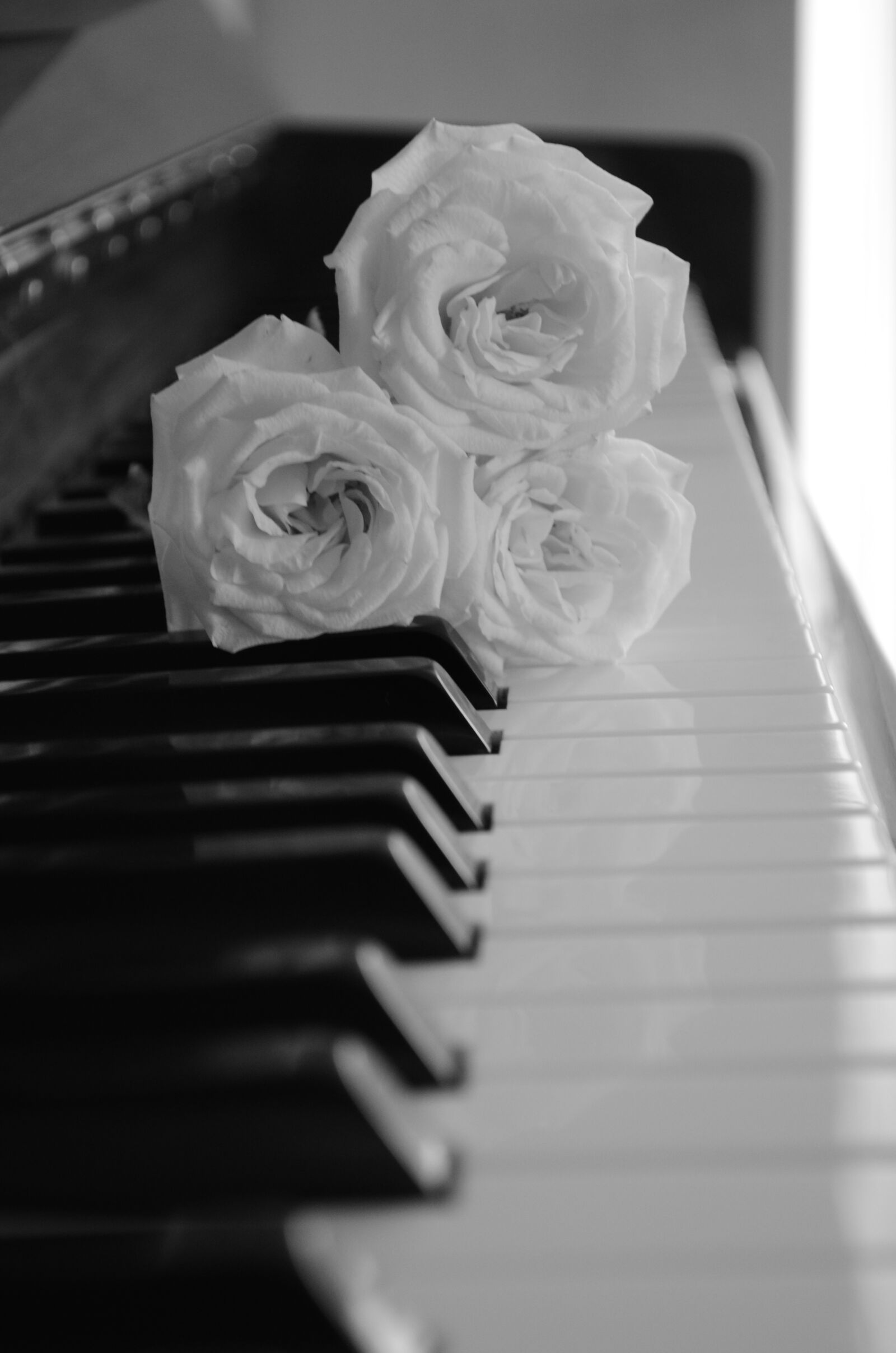 Nikon D5100 sample photo. Piano, music, compose photography
