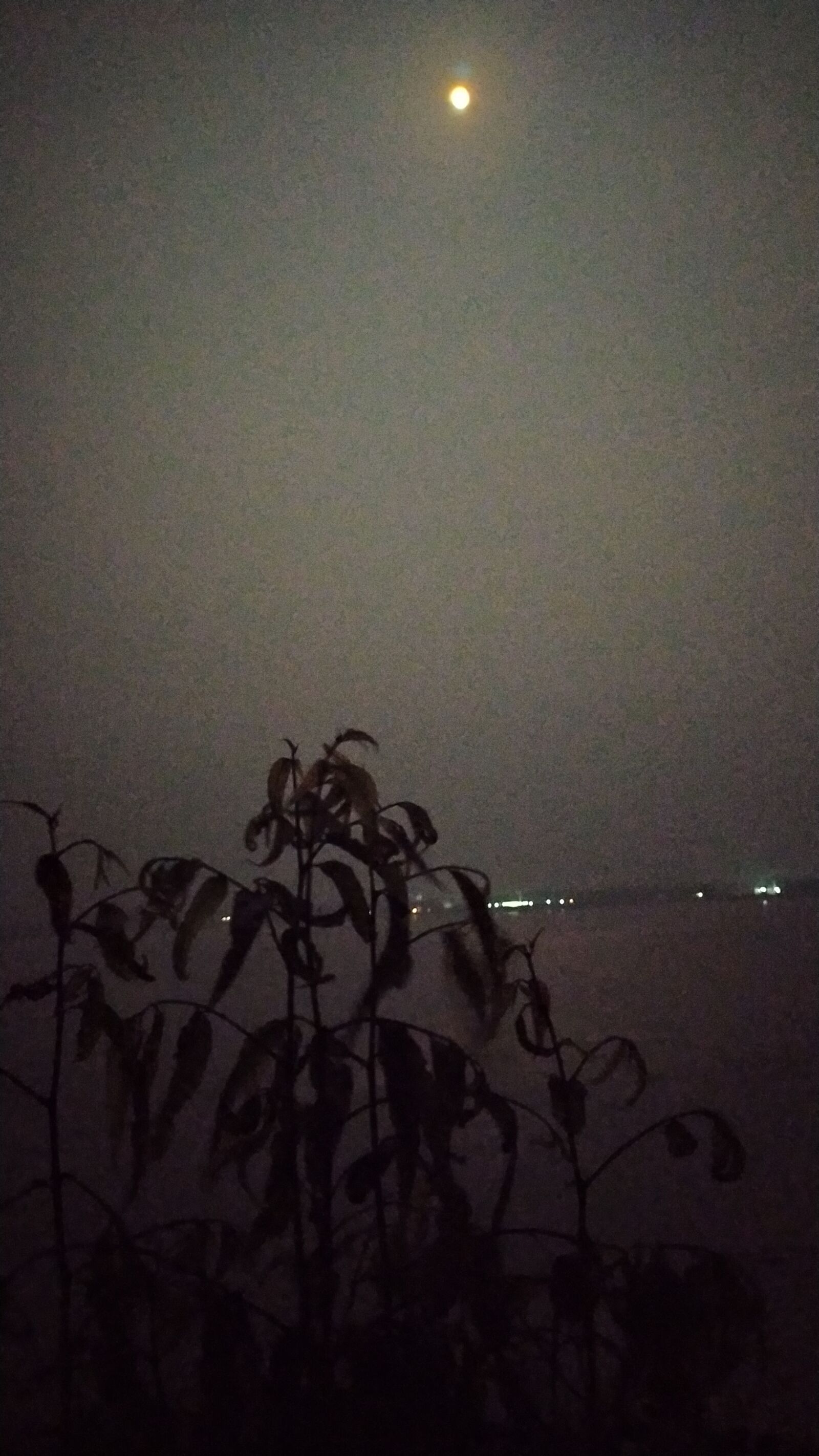 Xiaomi Redmi Note 7S sample photo. Moon, winter, night photography
