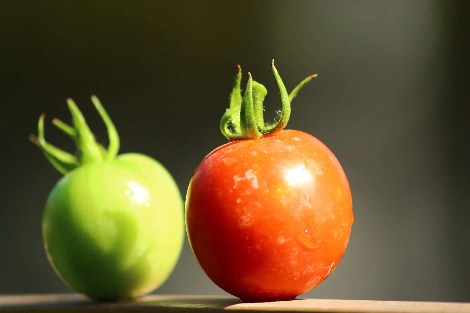 Canon EF-S 55-250mm F4-5.6 IS II sample photo. Tomato, green red, twin photography