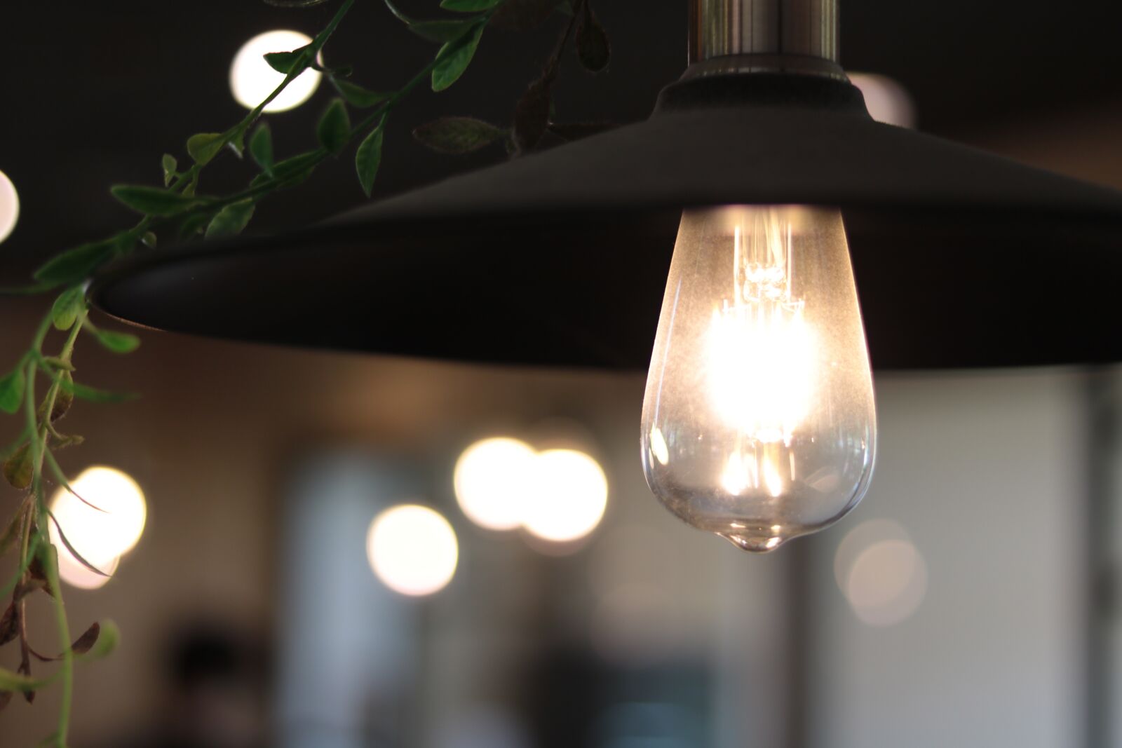 Canon EOS 750D (EOS Rebel T6i / EOS Kiss X8i) sample photo. Light, bulb, tungsten light photography