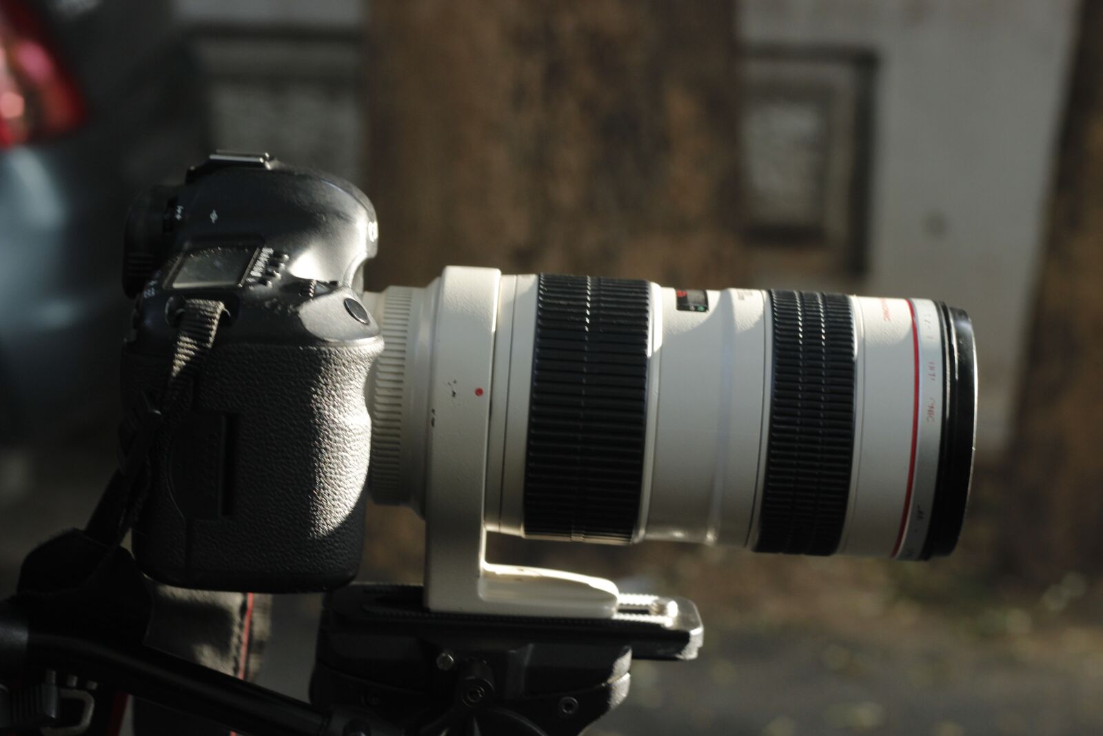 Canon EOS 600D (Rebel EOS T3i / EOS Kiss X5) + Canon EF 50mm F1.8 II sample photo. Still, camera, canon photography