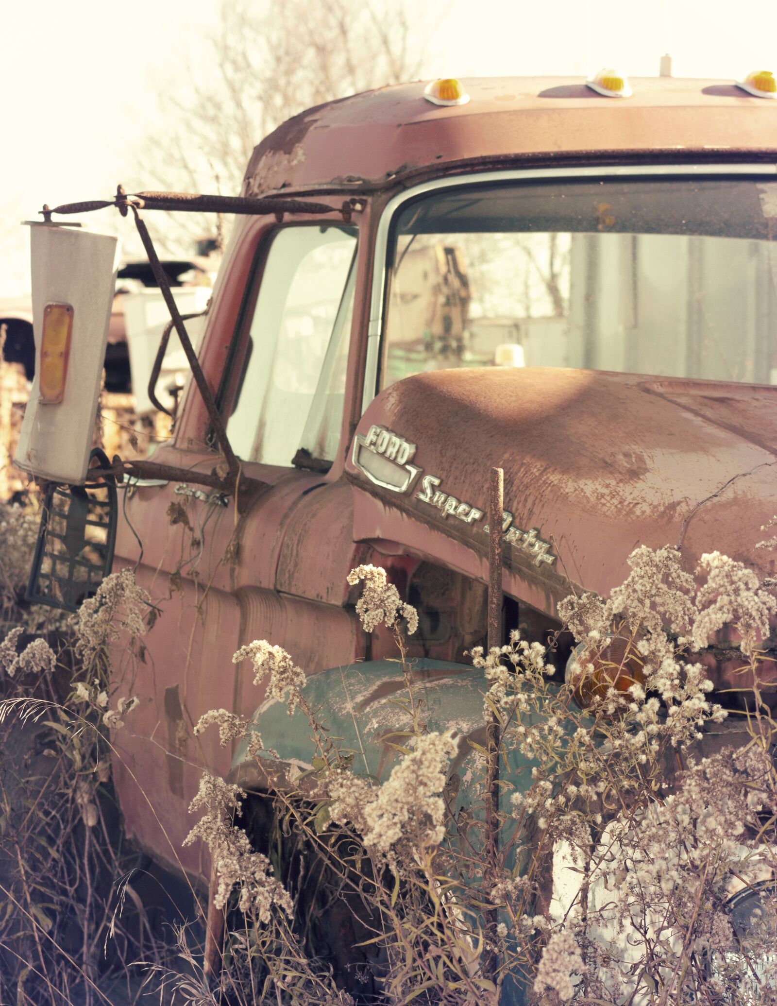 Canon EF 28-90mm f/4-5.6 sample photo. Old, car, wreck photography
