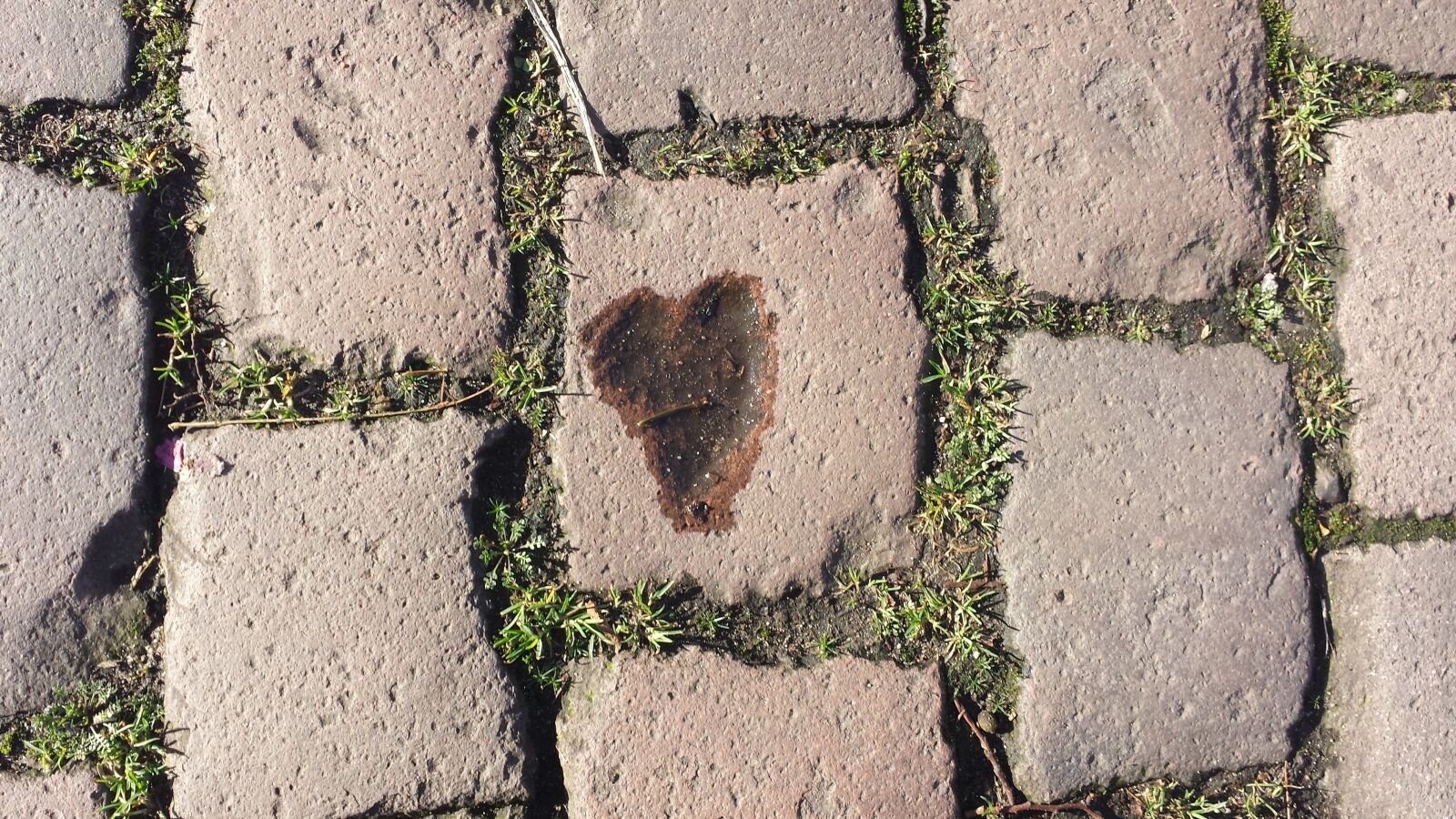 Samsung Galaxy S4 sample photo. Heart, paving stones, water photography