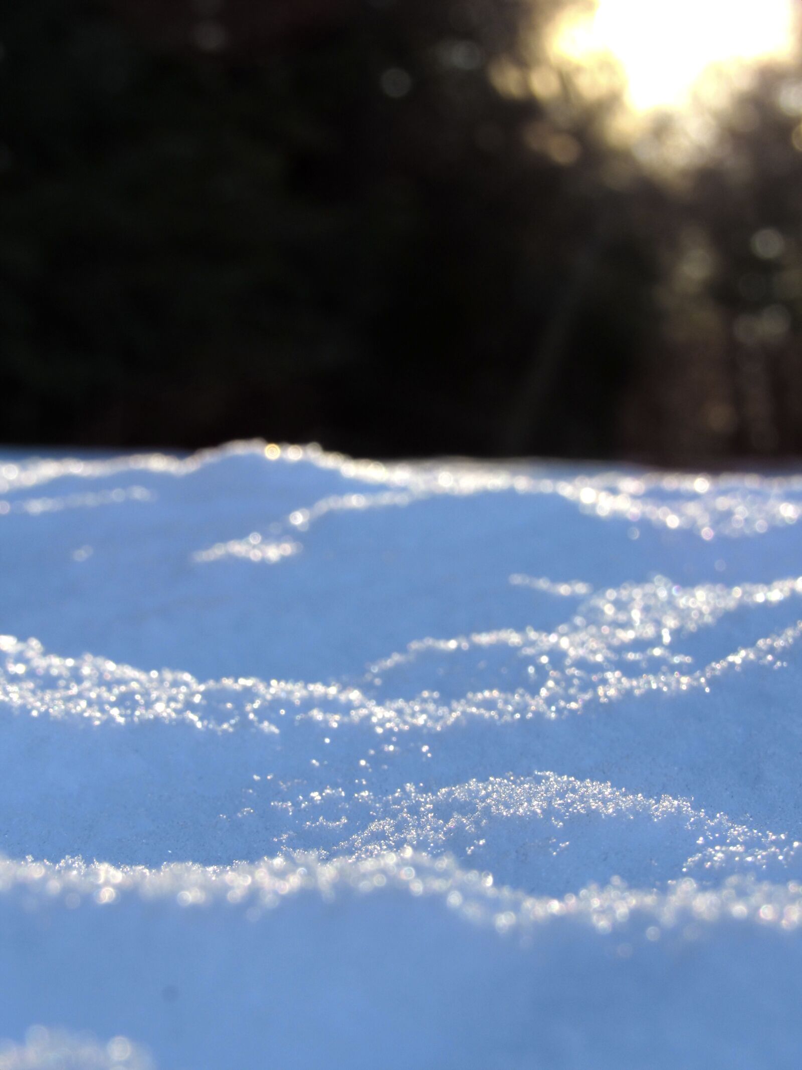Canon PowerShot SX530 HS sample photo. Snow, morning, winter photography