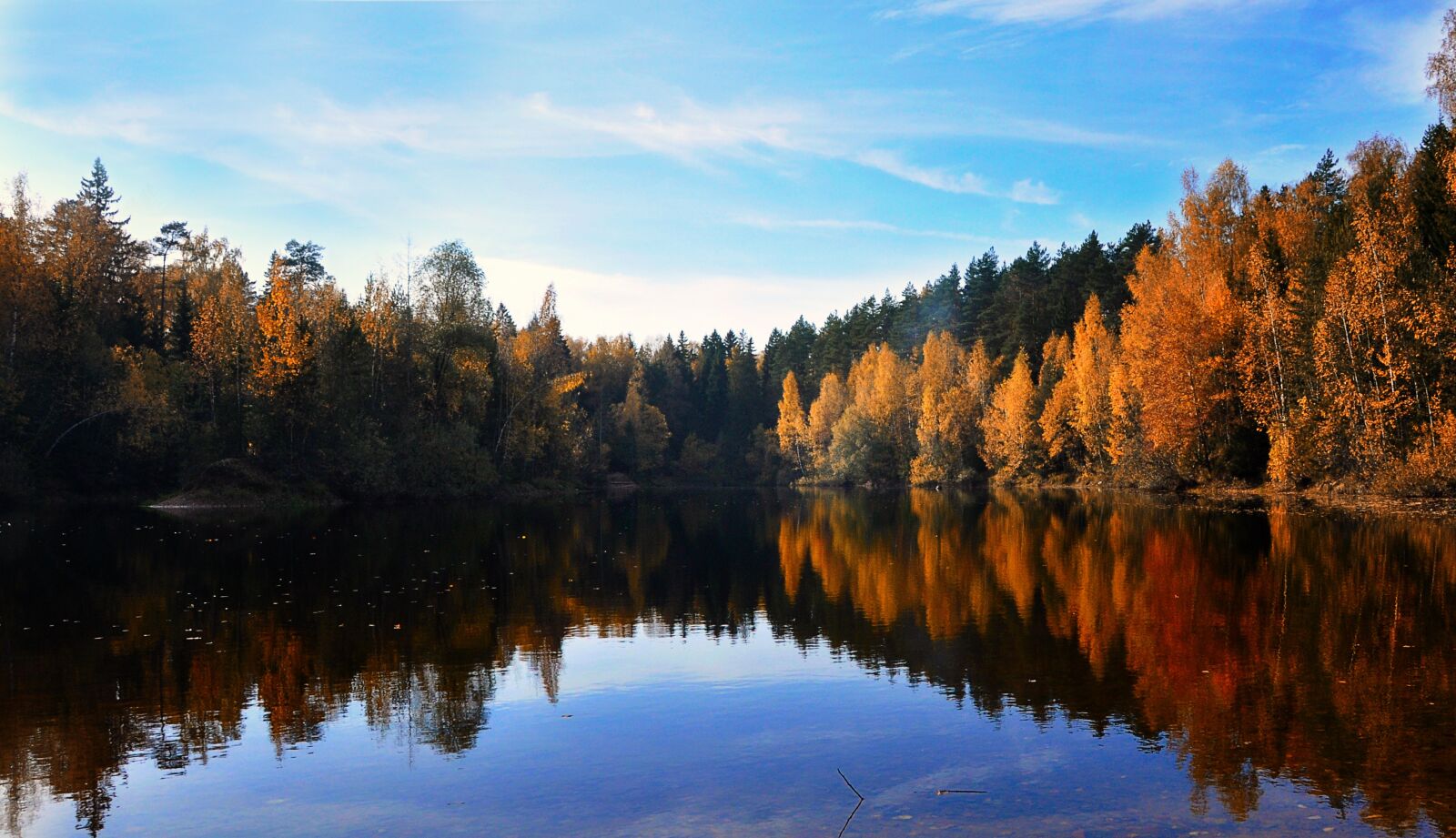 Nikon D90 sample photo. Autumn, pond, nature photography