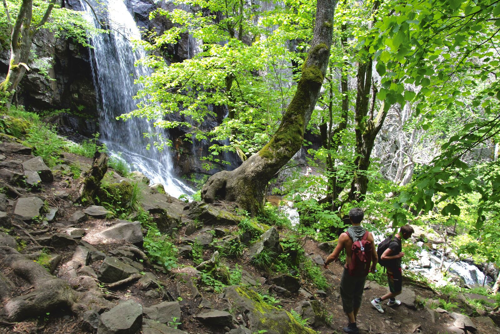 Nikon D3000 sample photo. Forest, green, hike, waterfall photography