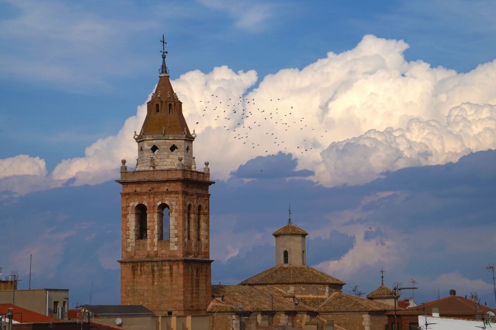 Sony Alpha a5000 (ILCE 5000) + Sony E 55-210mm F4.5-6.3 OSS sample photo. Birds, bell tower, bird photography