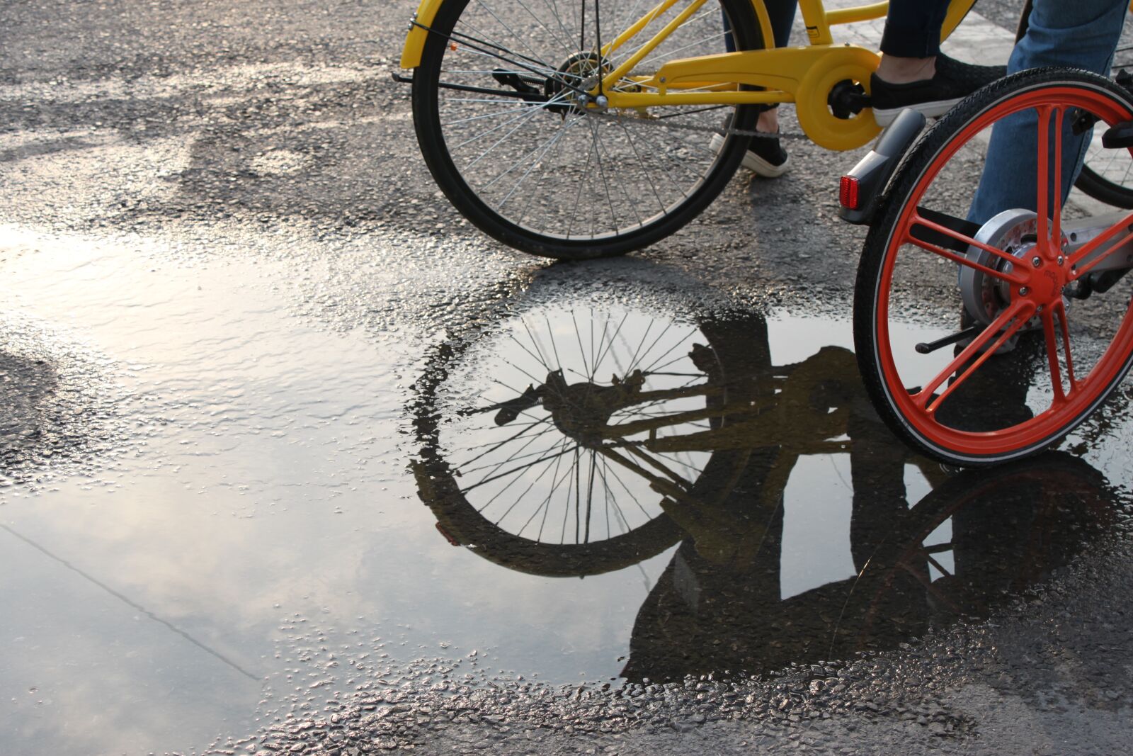 Canon EOS 500D (EOS Rebel T1i / EOS Kiss X3) sample photo. Bike, sky, the storm photography