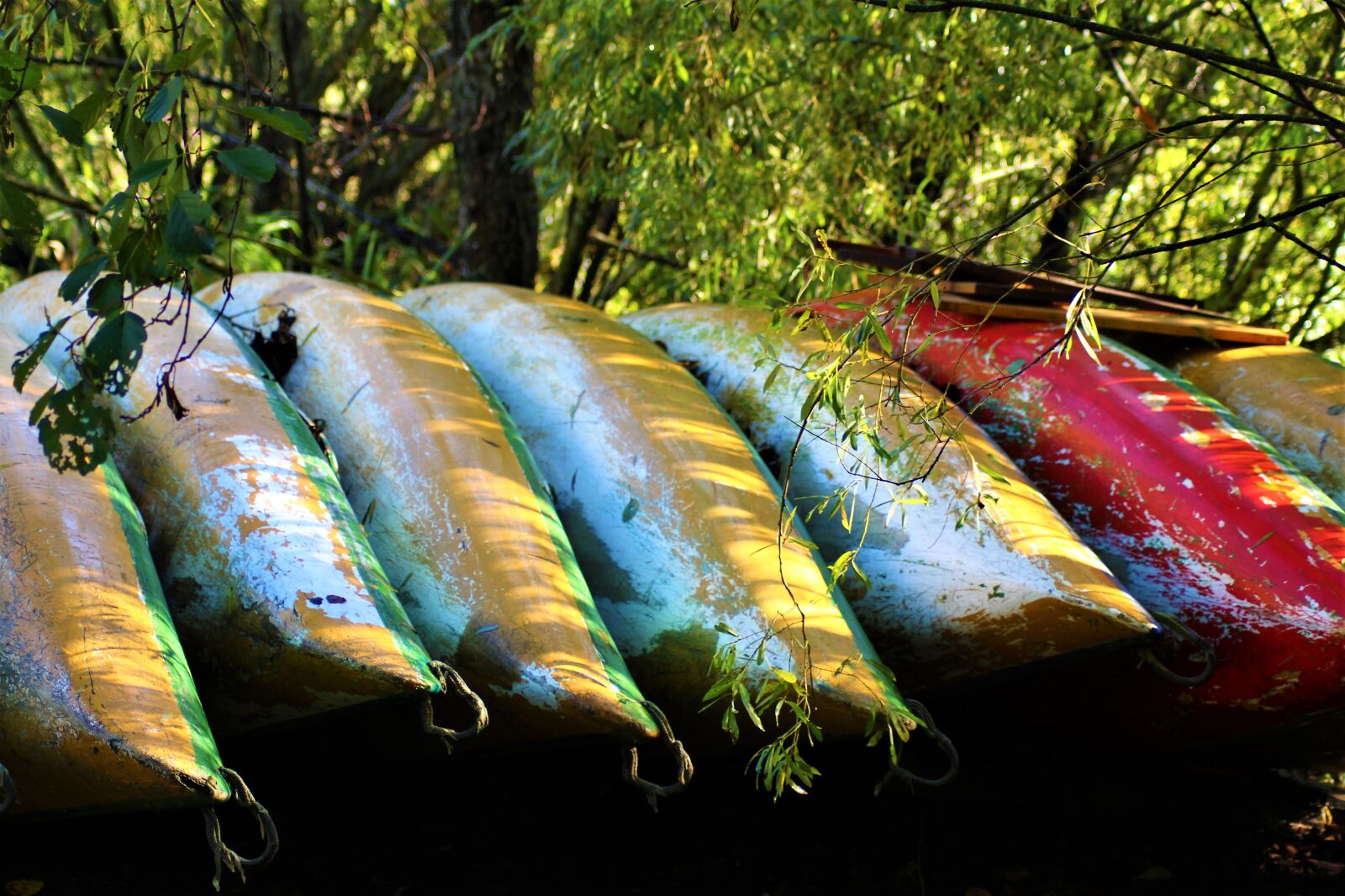 Canon EOS 1300D (EOS Rebel T6 / EOS Kiss X80) sample photo. Canoeing, boat, lakeside photography