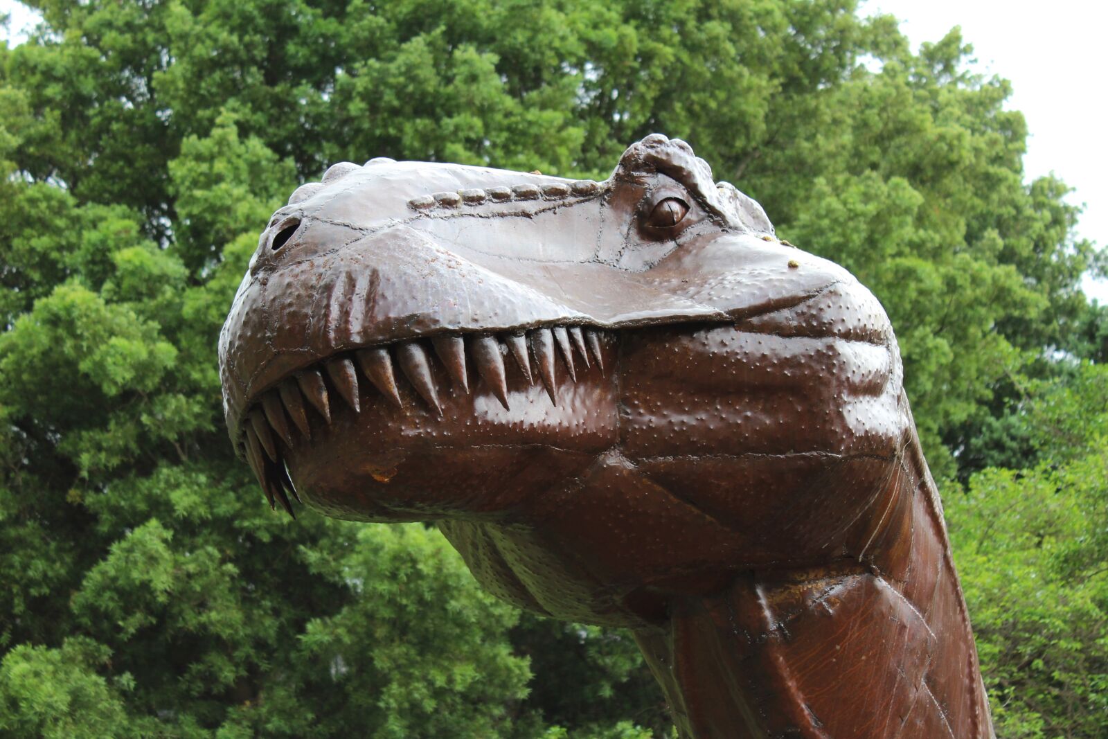 Canon EOS 1200D (EOS Rebel T5 / EOS Kiss X70 / EOS Hi) sample photo. Sculpture, dinosaur, teeth photography