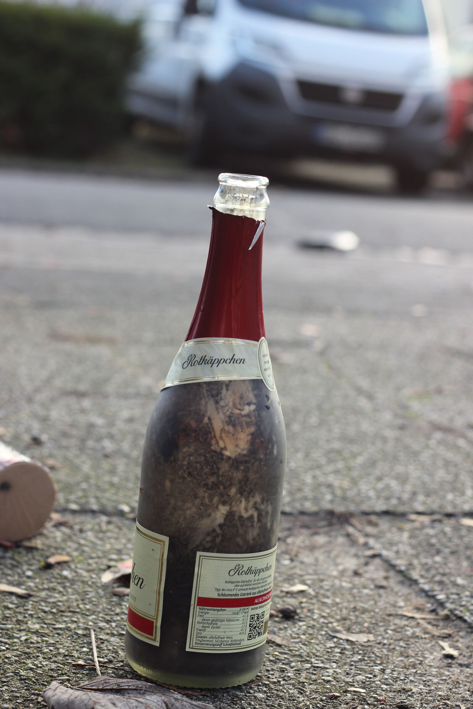 Canon EOS 600D (Rebel EOS T3i / EOS Kiss X5) + Canon EF 50mm F1.8 II sample photo. Pollution, waste, garbage photography