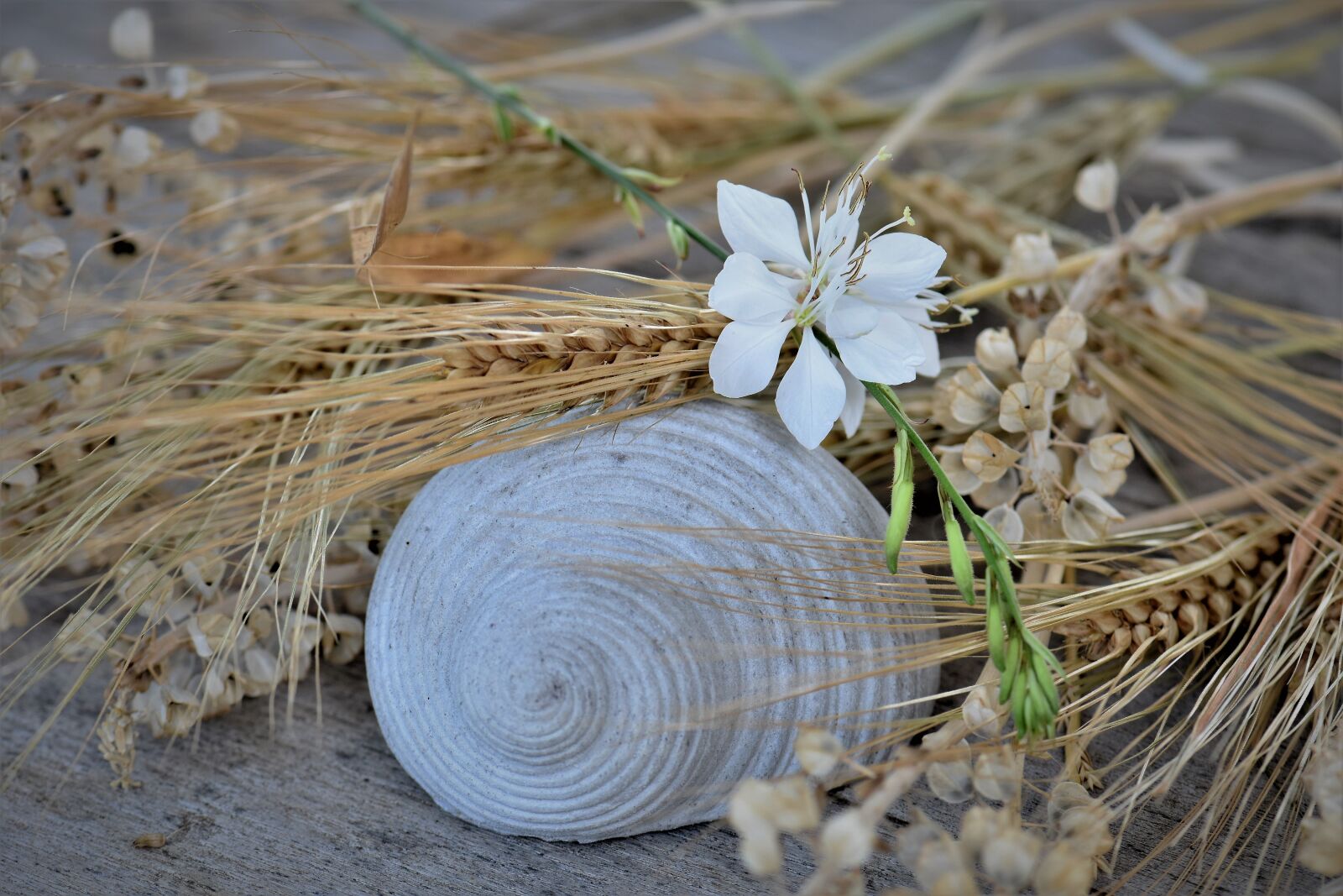 Nikon D5500 sample photo. Deco, table decorations, decoration photography