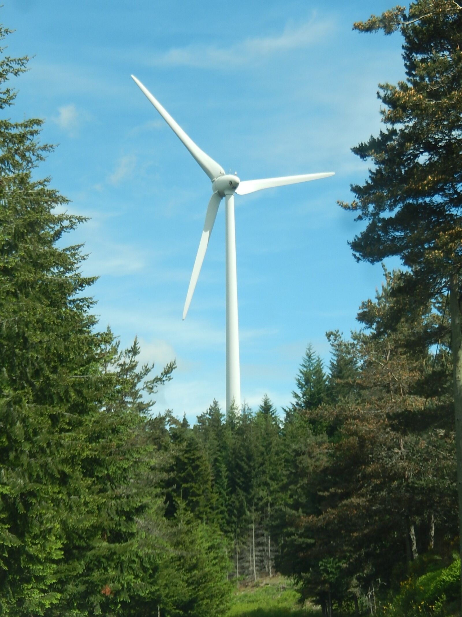 Nikon Coolpix S9500 sample photo. Wind turbine, sustainable development photography