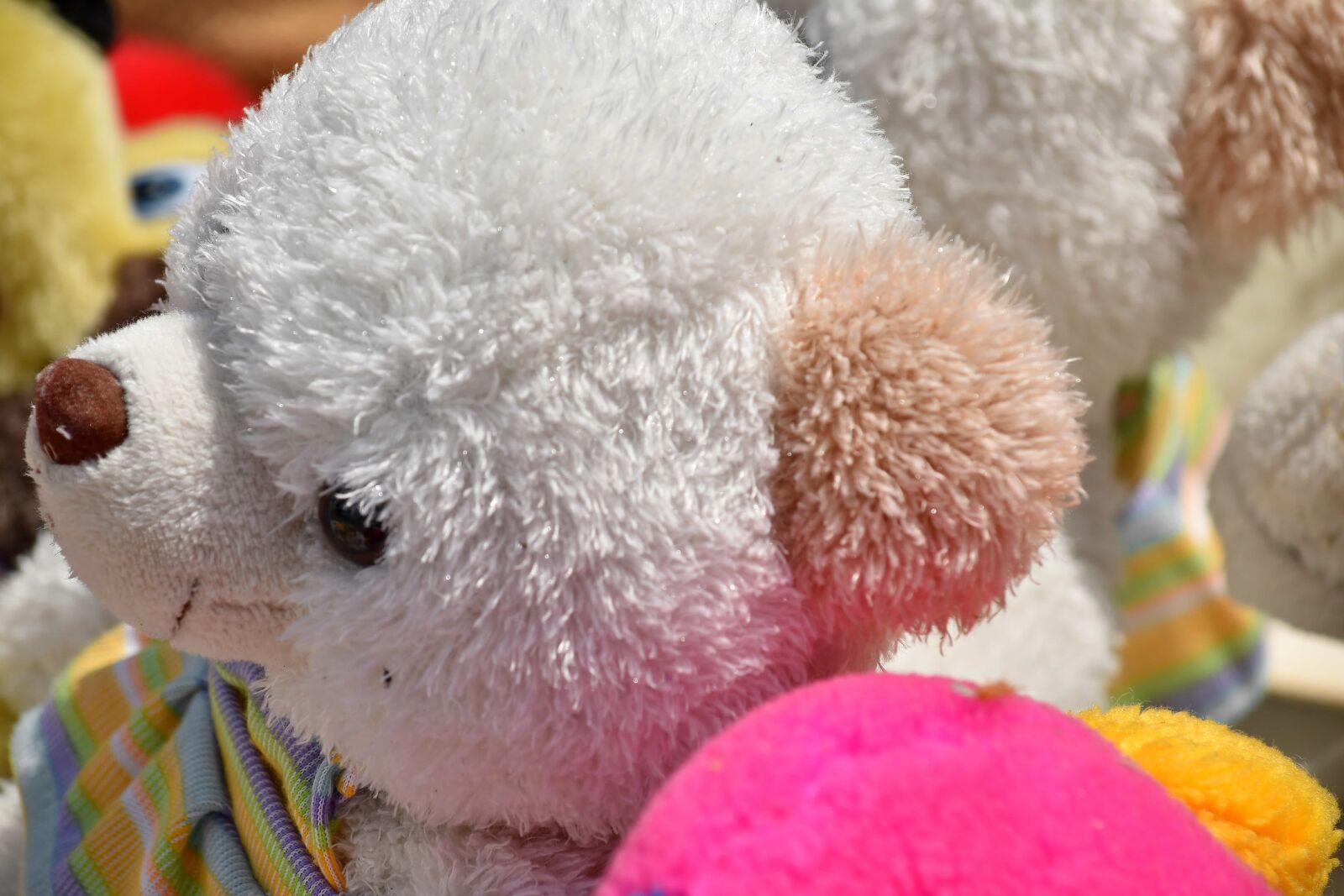 Nikon D5500 sample photo. Teddy bear toy, white photography