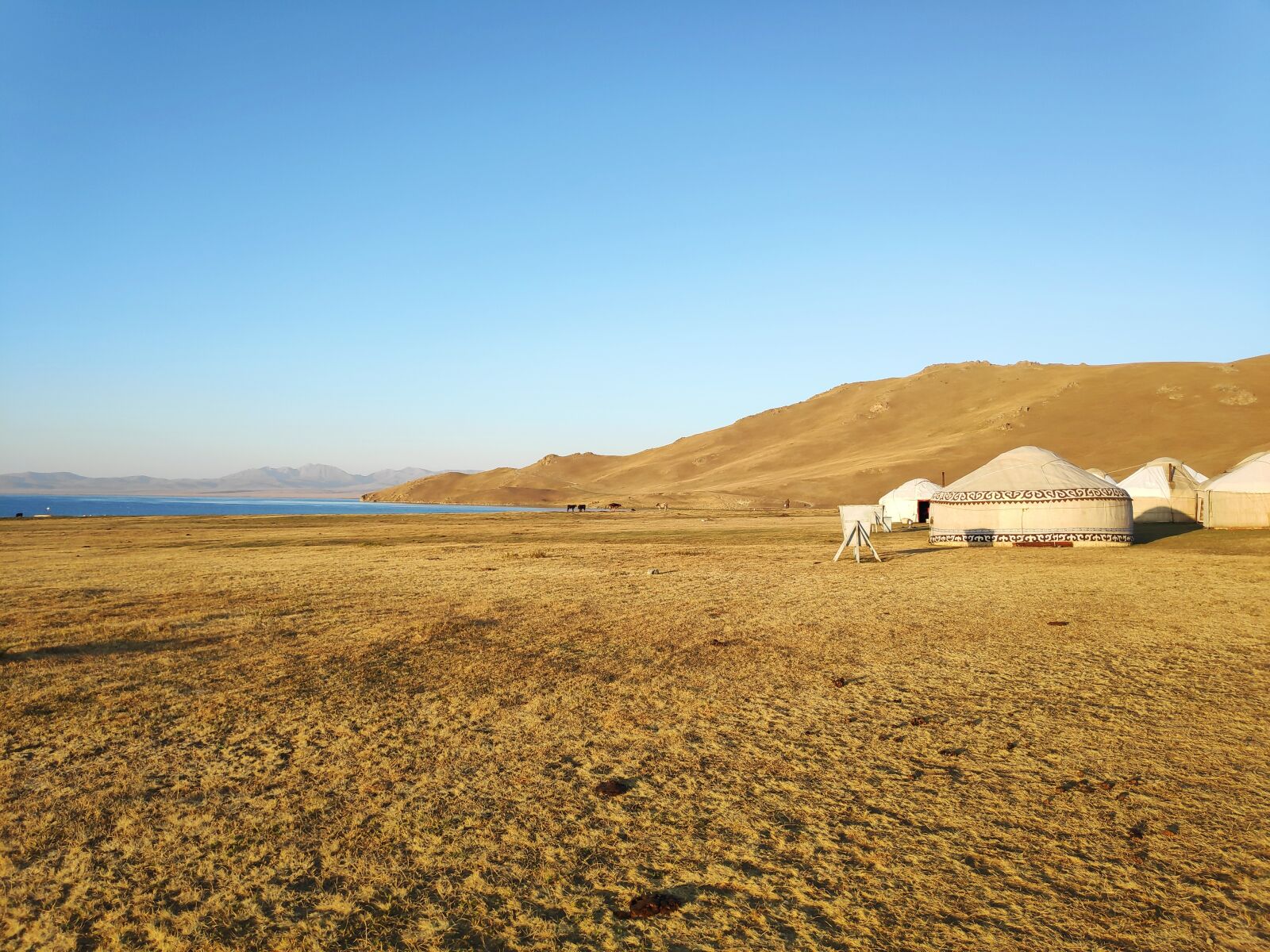 Xiaomi POCO F1 sample photo. Yurt, steppe, landscape photography