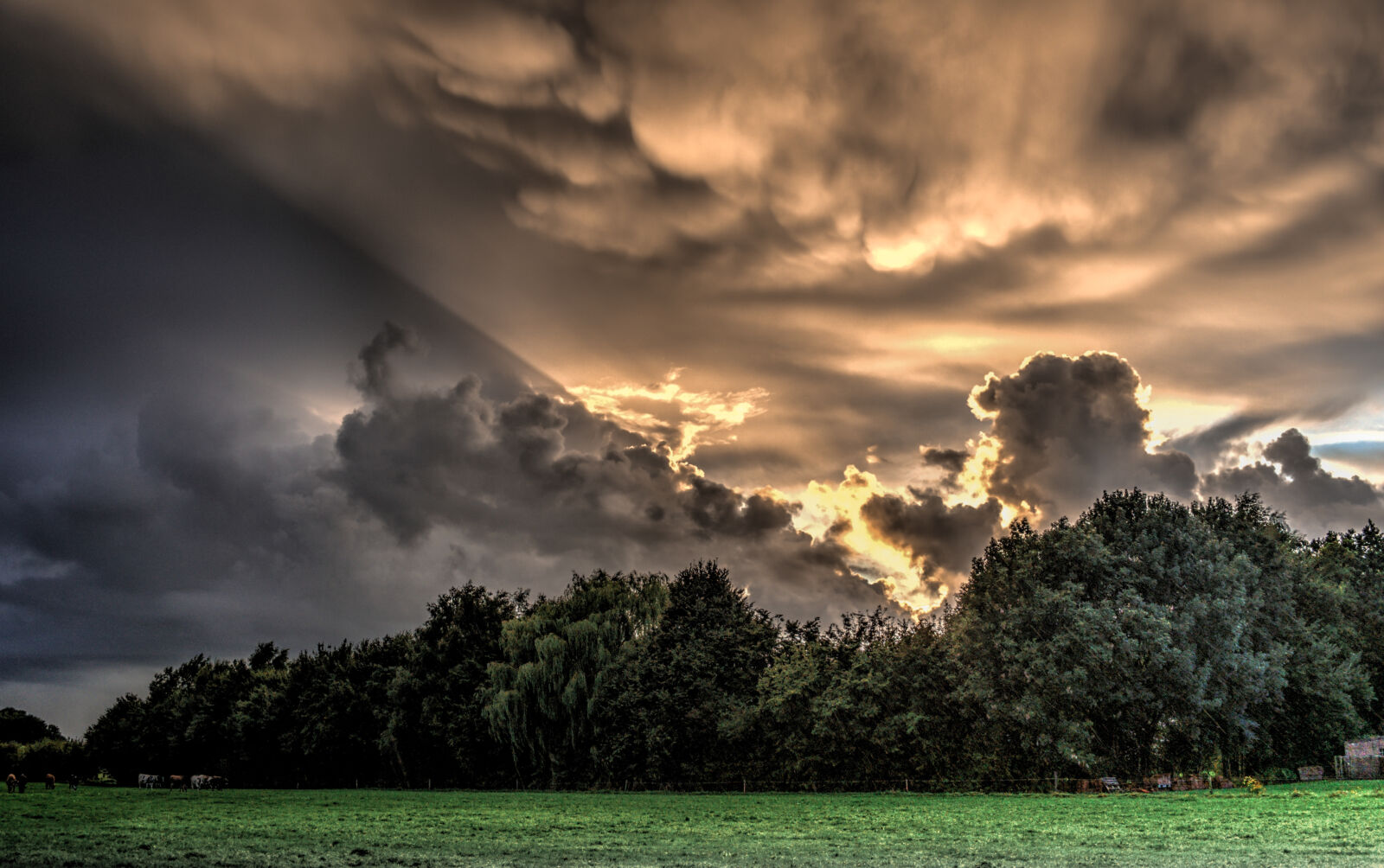 Nikon D5000 sample photo. Nature, clouds, hdr, phenomenon photography