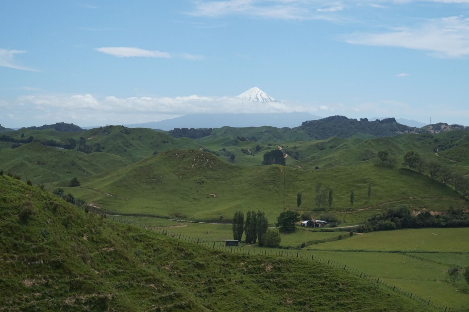 Sony Alpha a5000 (ILCE 5000) sample photo. New zealand, neuseeland, nature photography