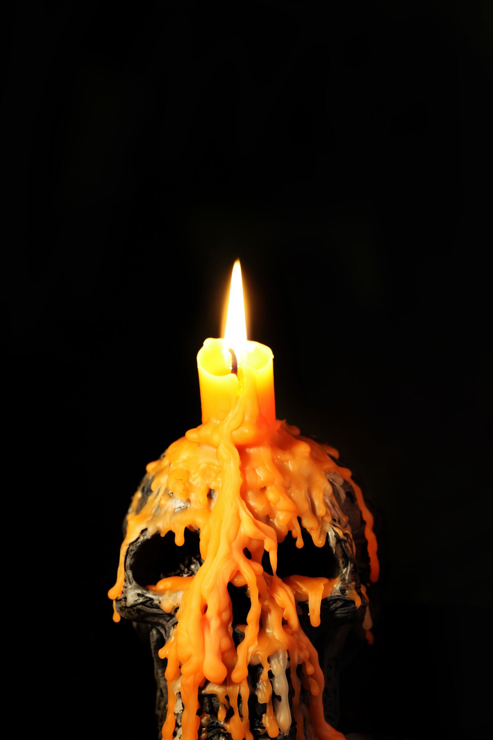 Canon EOS 5D Mark II sample photo. Skull, candle, light photography