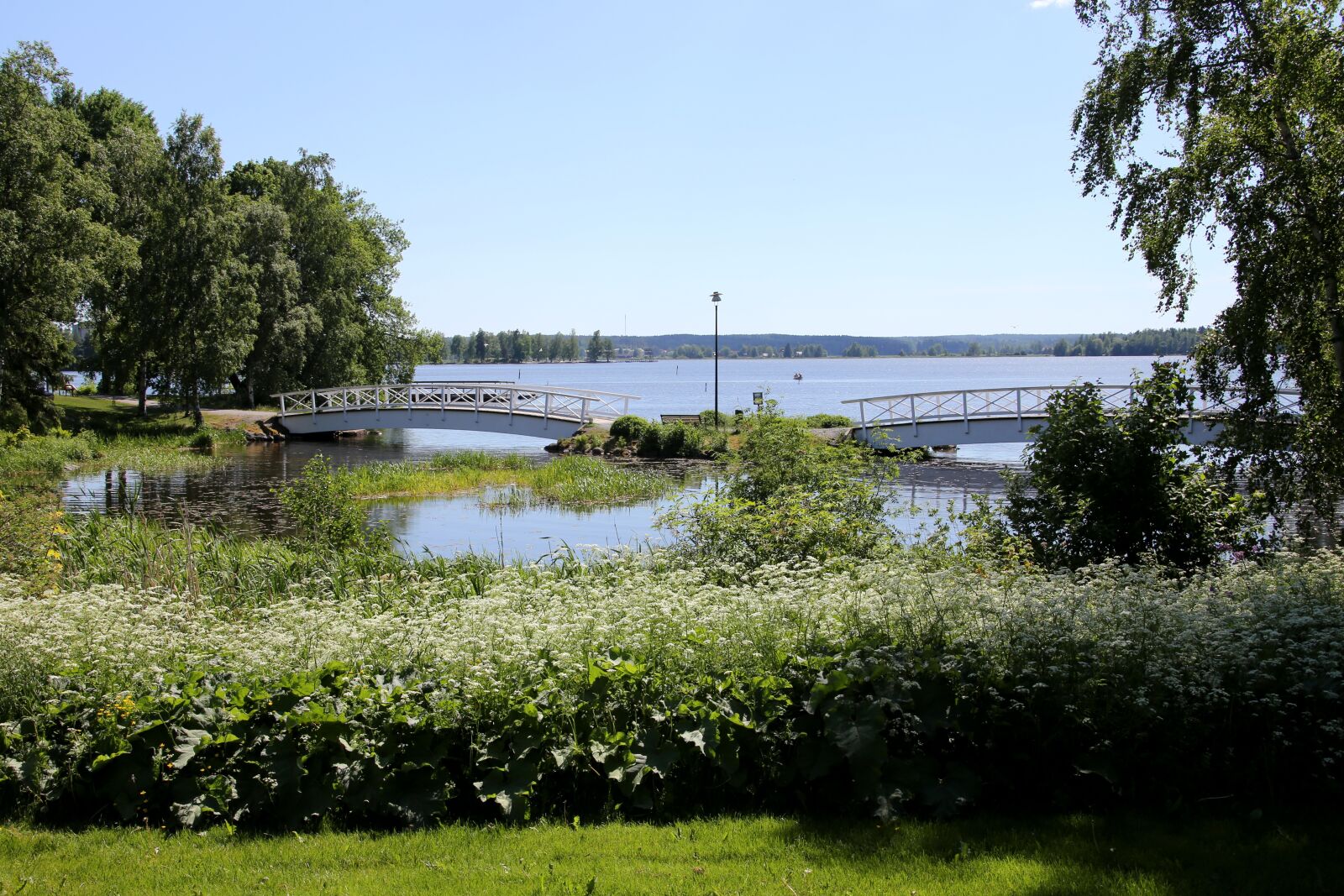 Canon EOS 6D sample photo. Bridge, white, the romantic photography