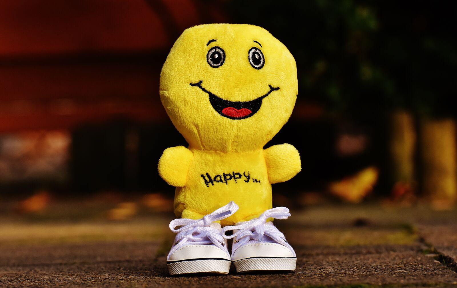 Nikon D7200 sample photo. Smiley, laugh, sneakers photography