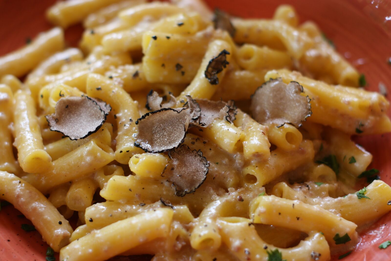 Canon EOS 450D (EOS Rebel XSi / EOS Kiss X2) sample photo. Pasta, truffle, food photography
