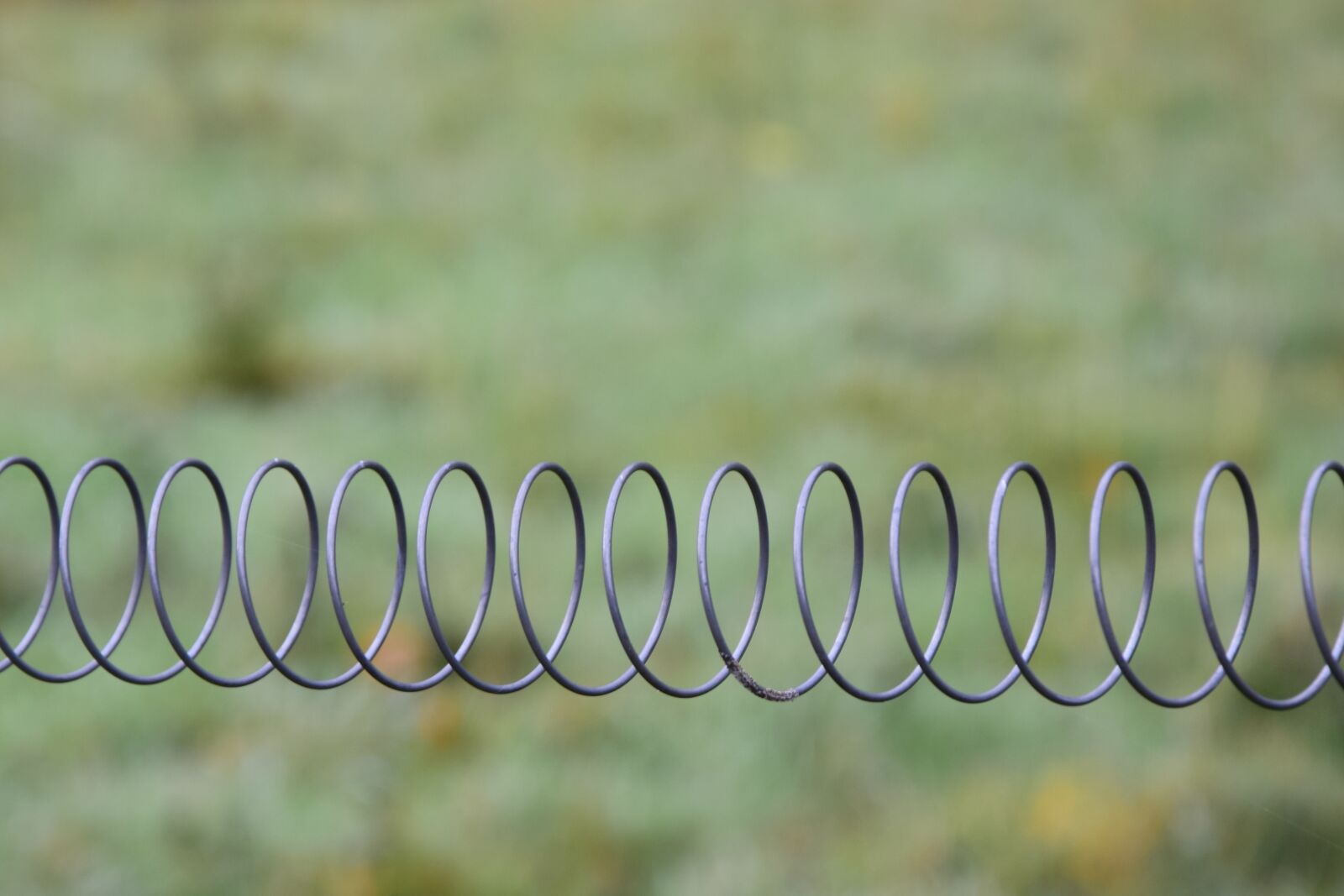 Nikon D5300 sample photo. Wire, fence, metal photography
