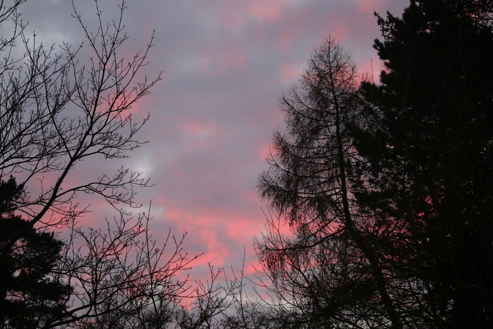 Canon EOS 5D Mark III sample photo. Nature, sun, sunset photography
