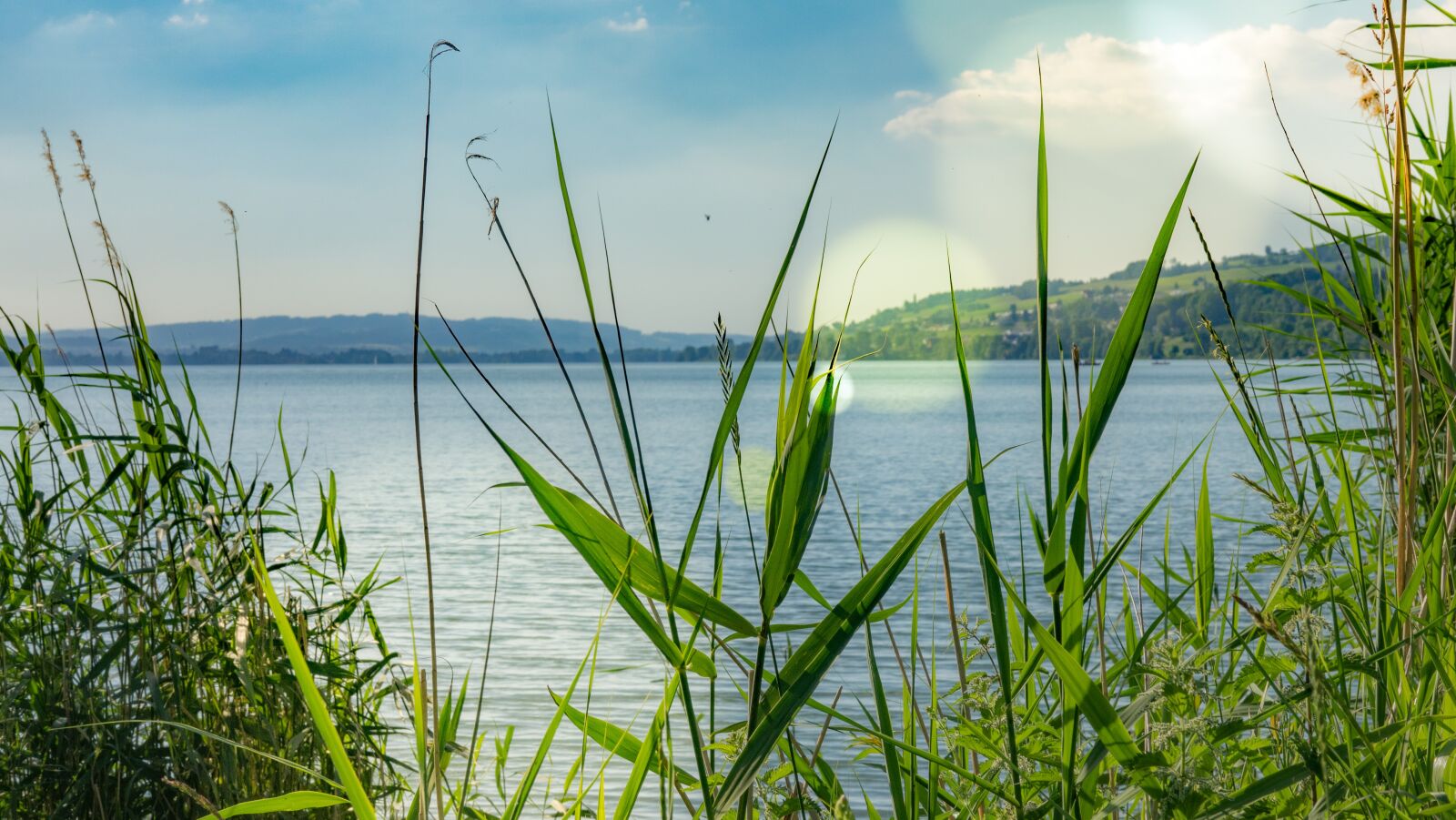 Sony Cyber-shot DSC-RX10 III sample photo. Lake, flare, water photography