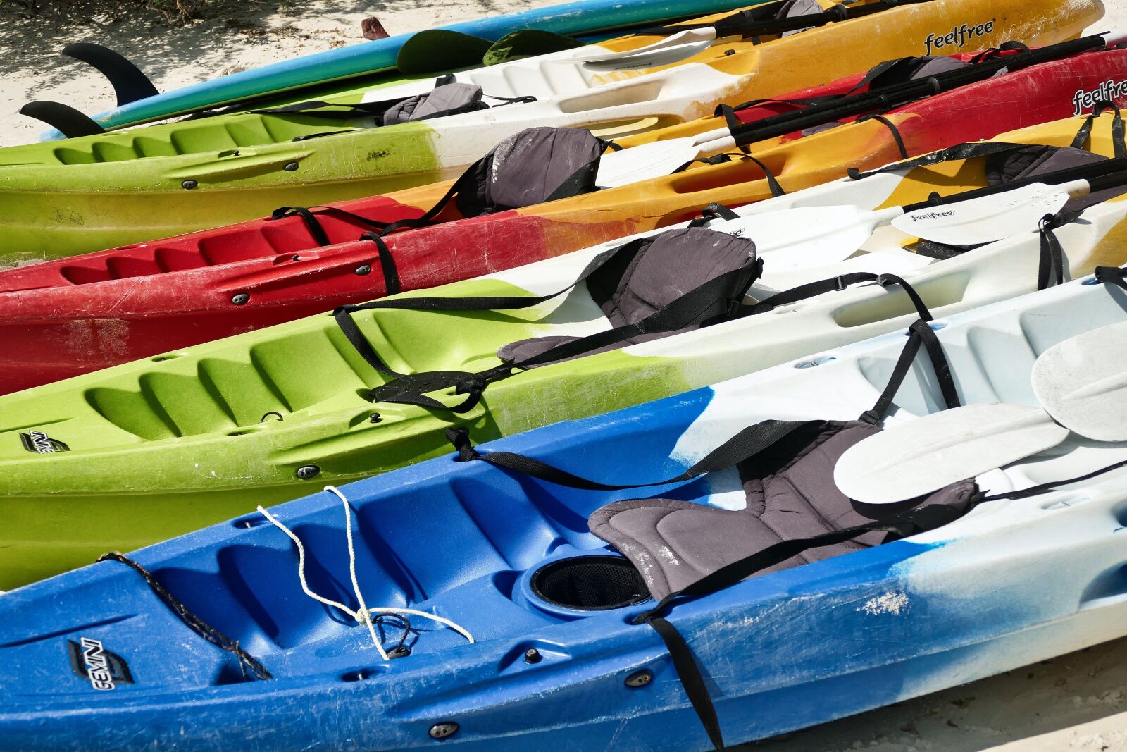Panasonic Lumix DMC-FZ1000 sample photo. Kayak, rowing boat, canoeing photography