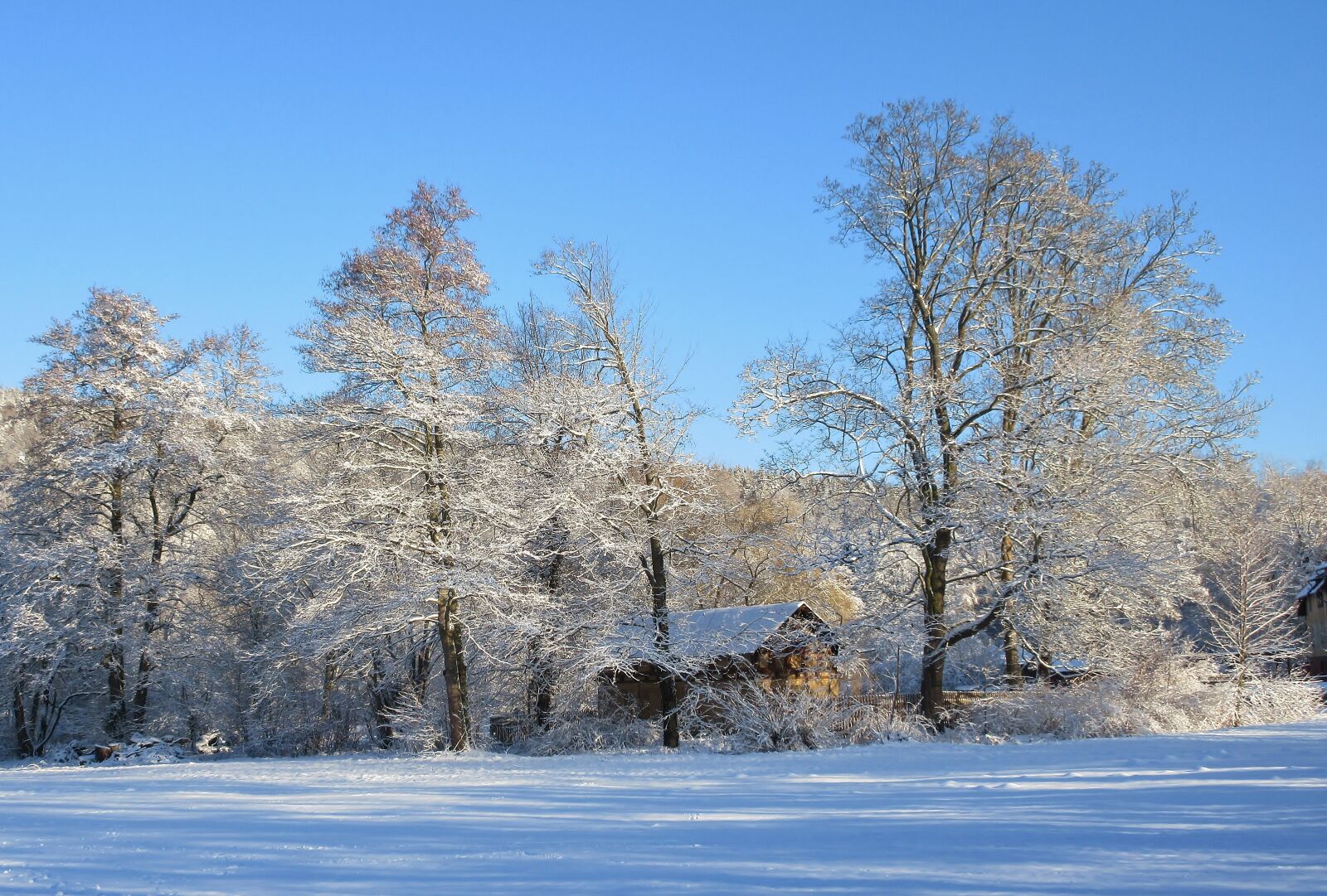 Canon PowerShot ELPH 360 HS (IXUS 285 HS / IXY 650) sample photo. Winter, parklandschaft, snow photography